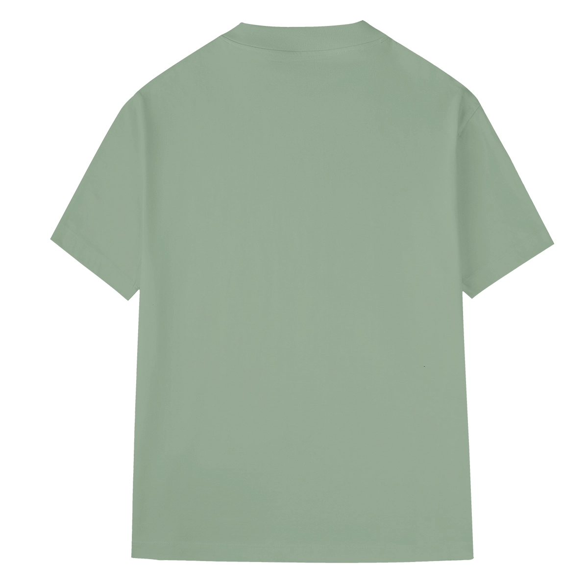 HOTSUIT Logo T