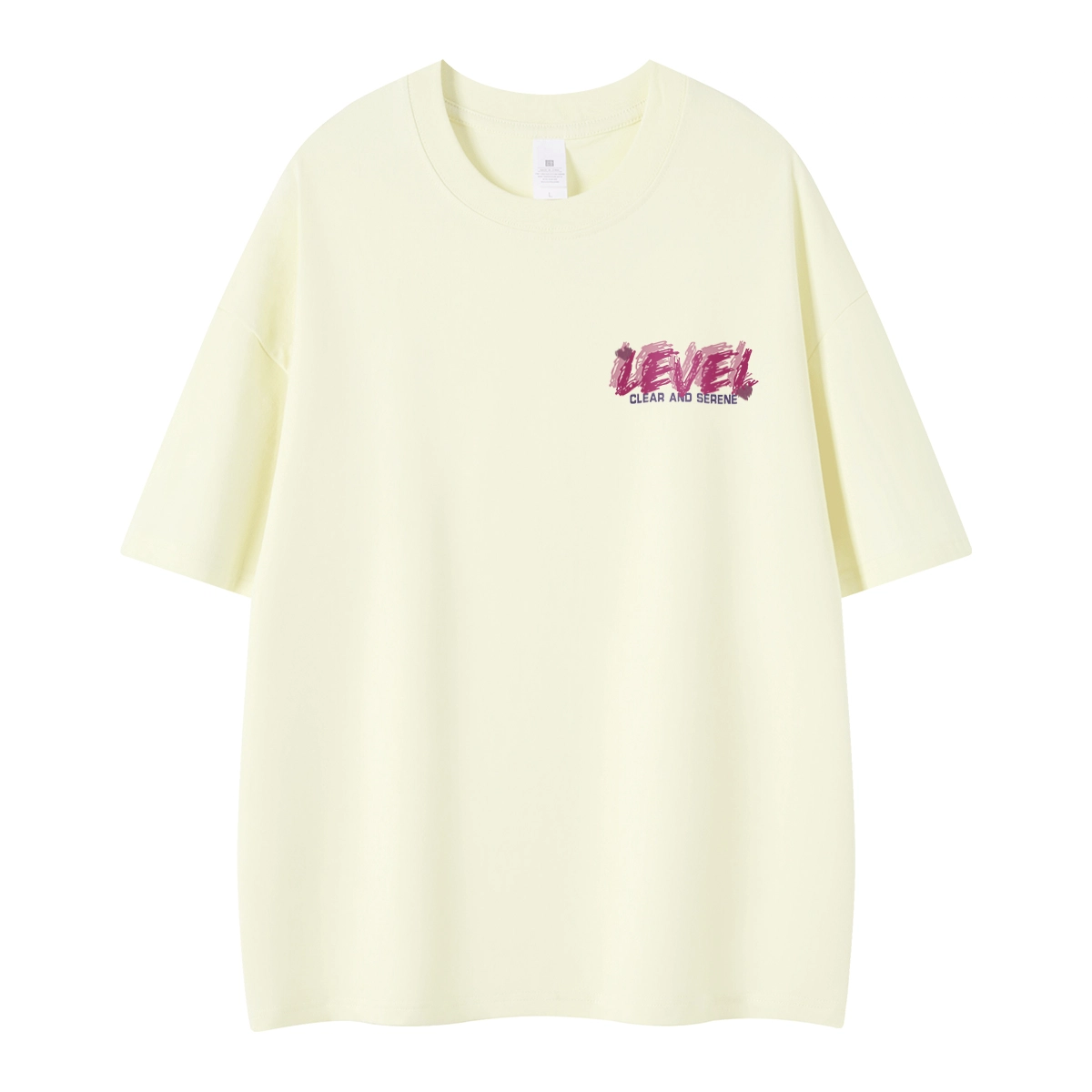 LEVEL T