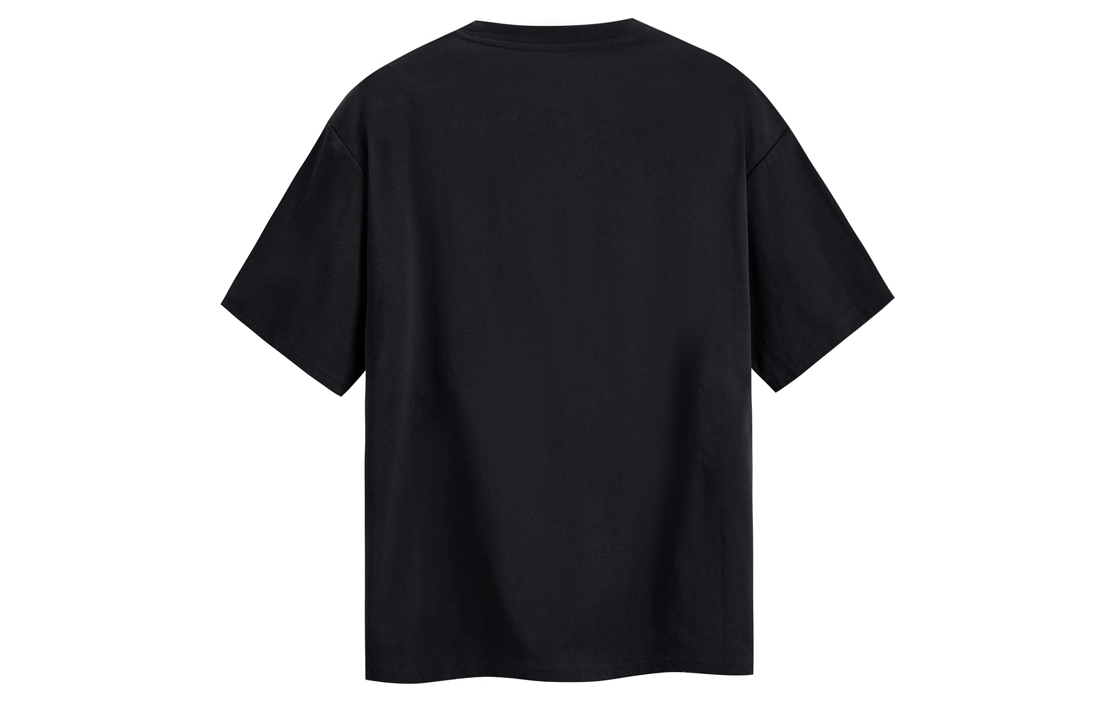ICONS Lab logo T