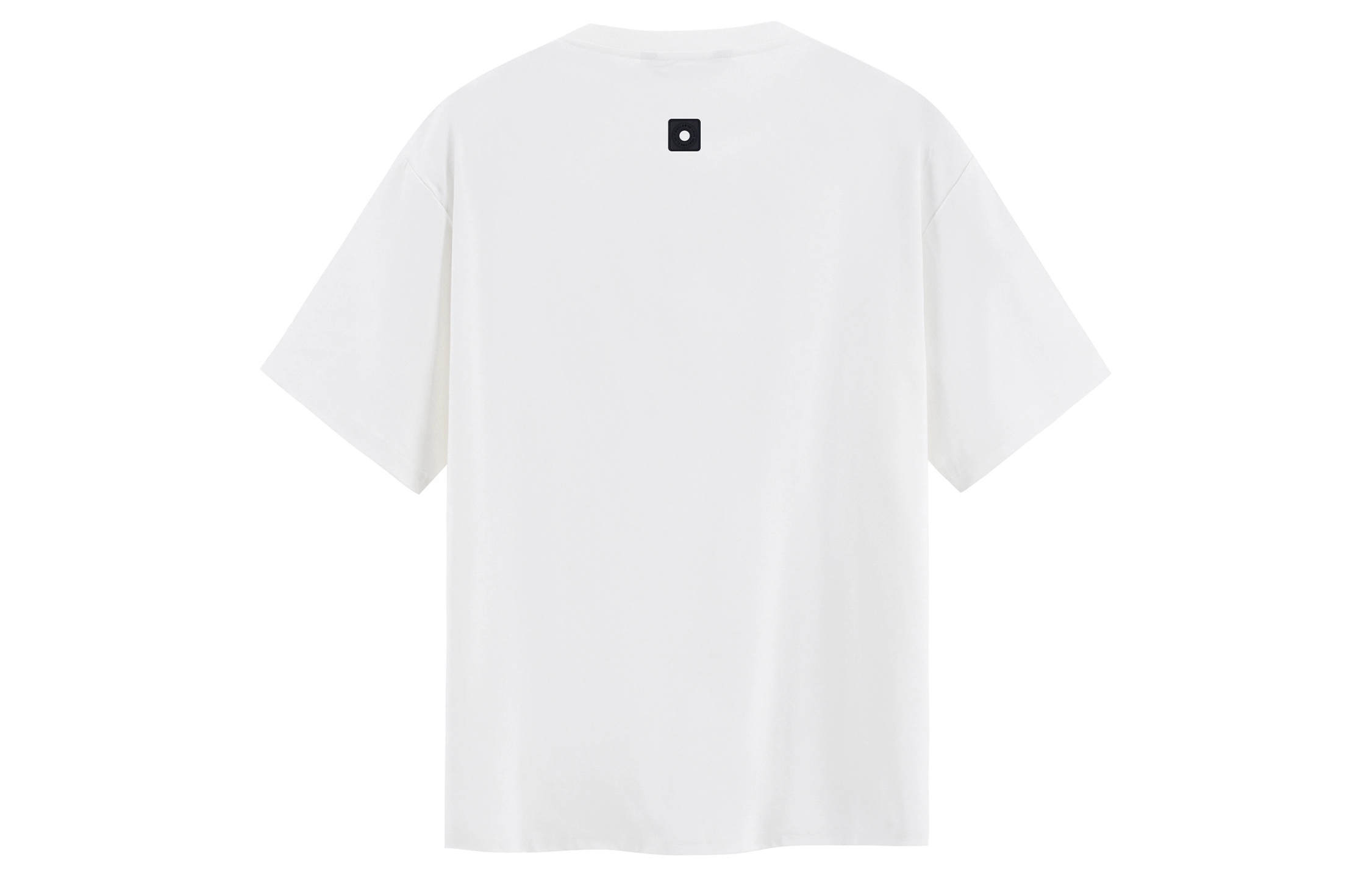 ICONS Lab T