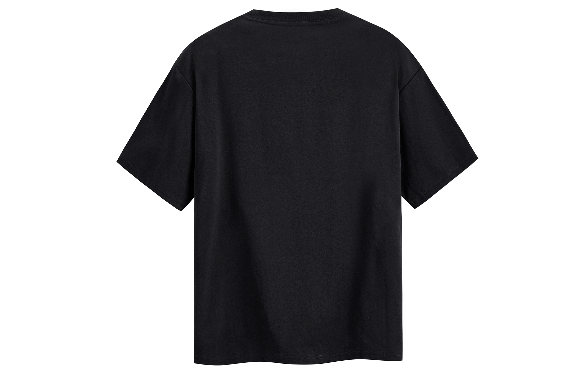 ICONS Lab T