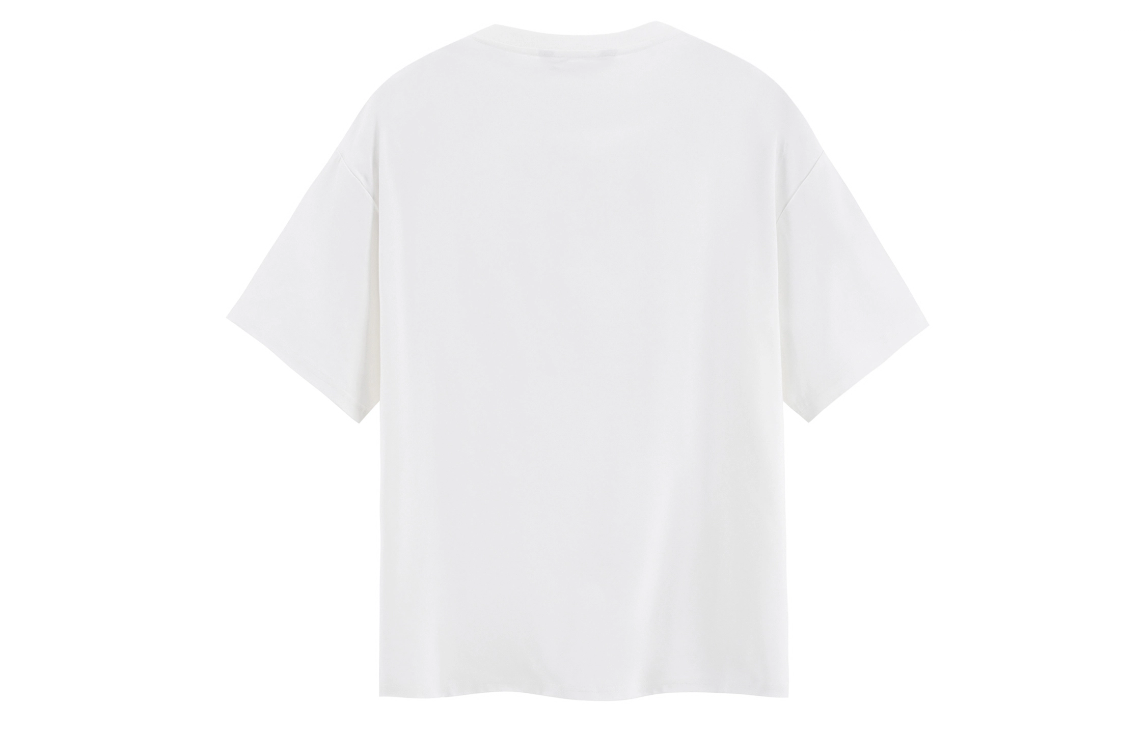 ICONS Lab T