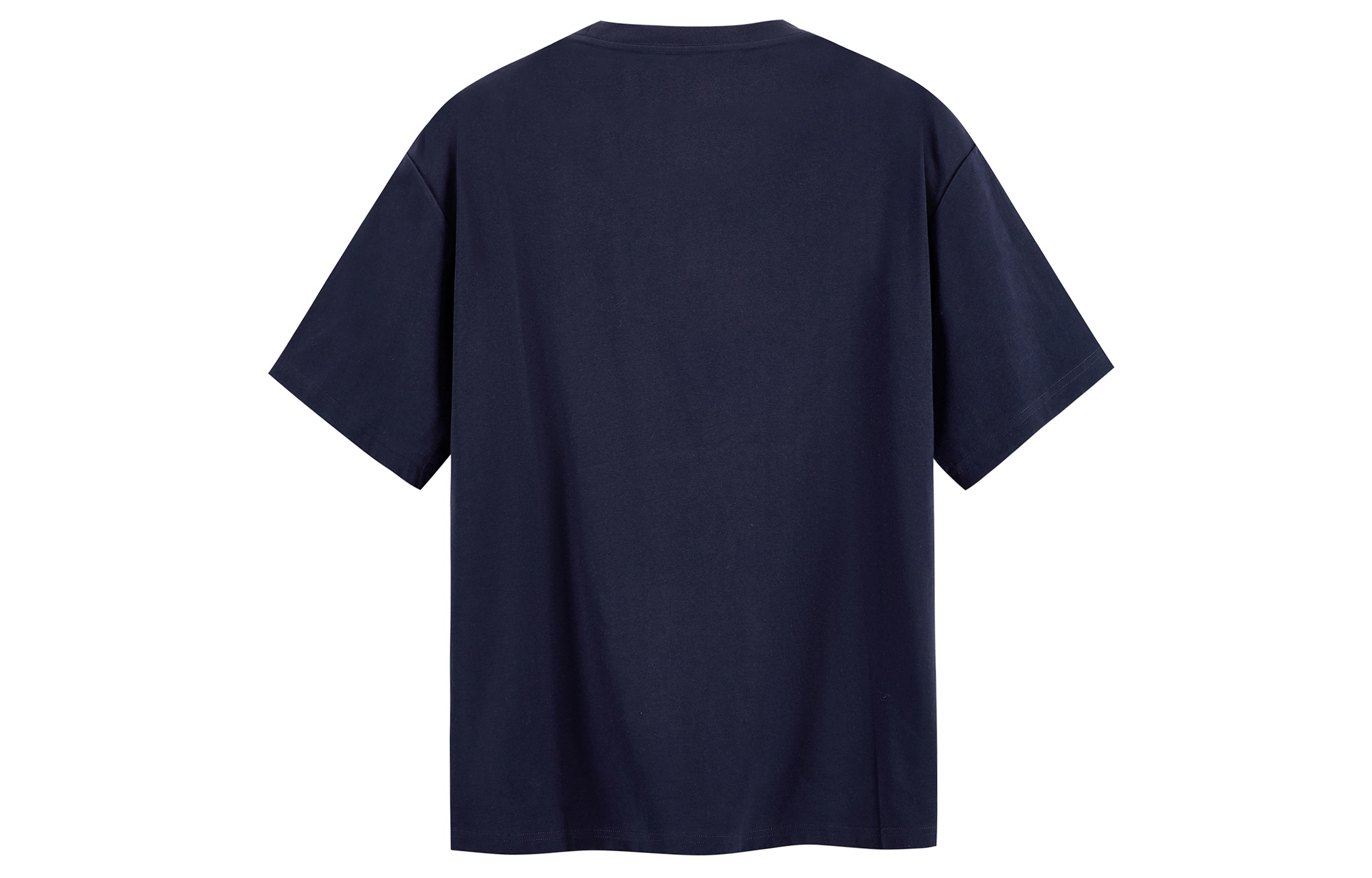 ICONS Lab T