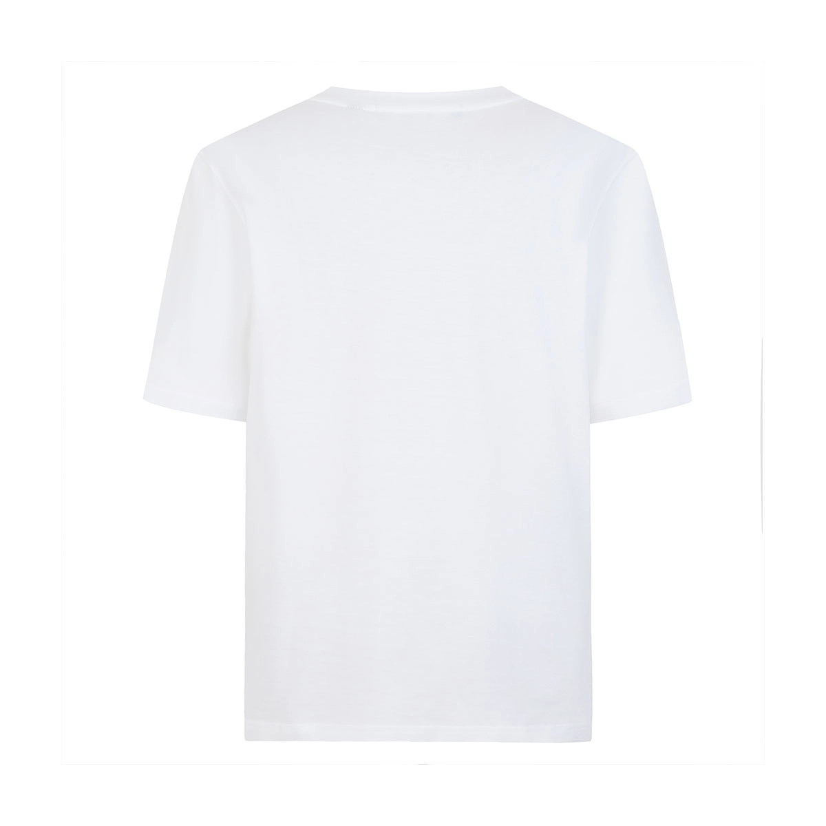 Cavalli Class T