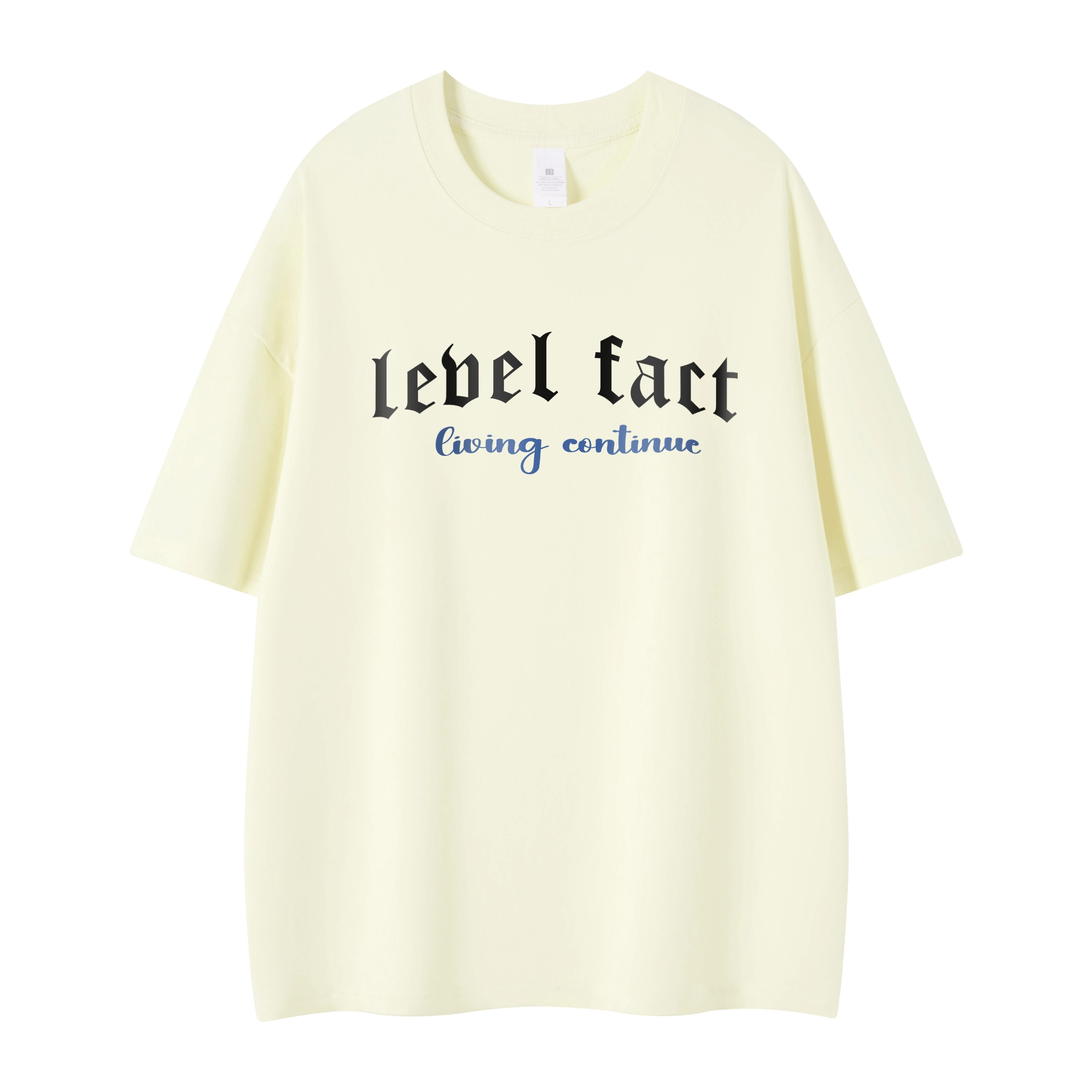 LEVEL T