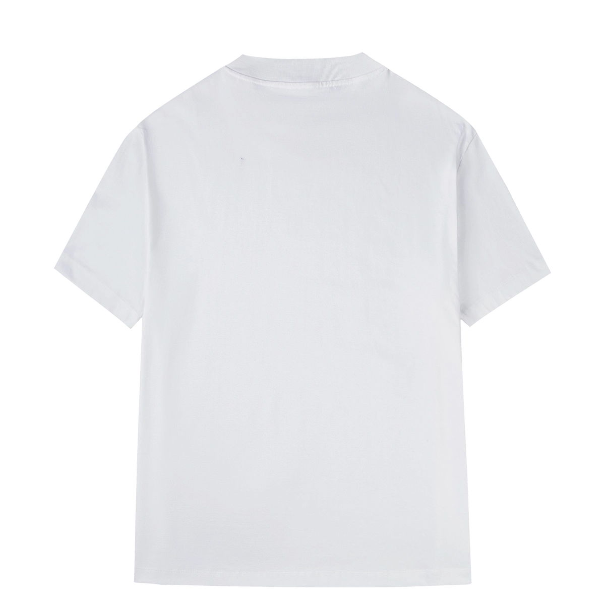 HOTSUIT Logo T