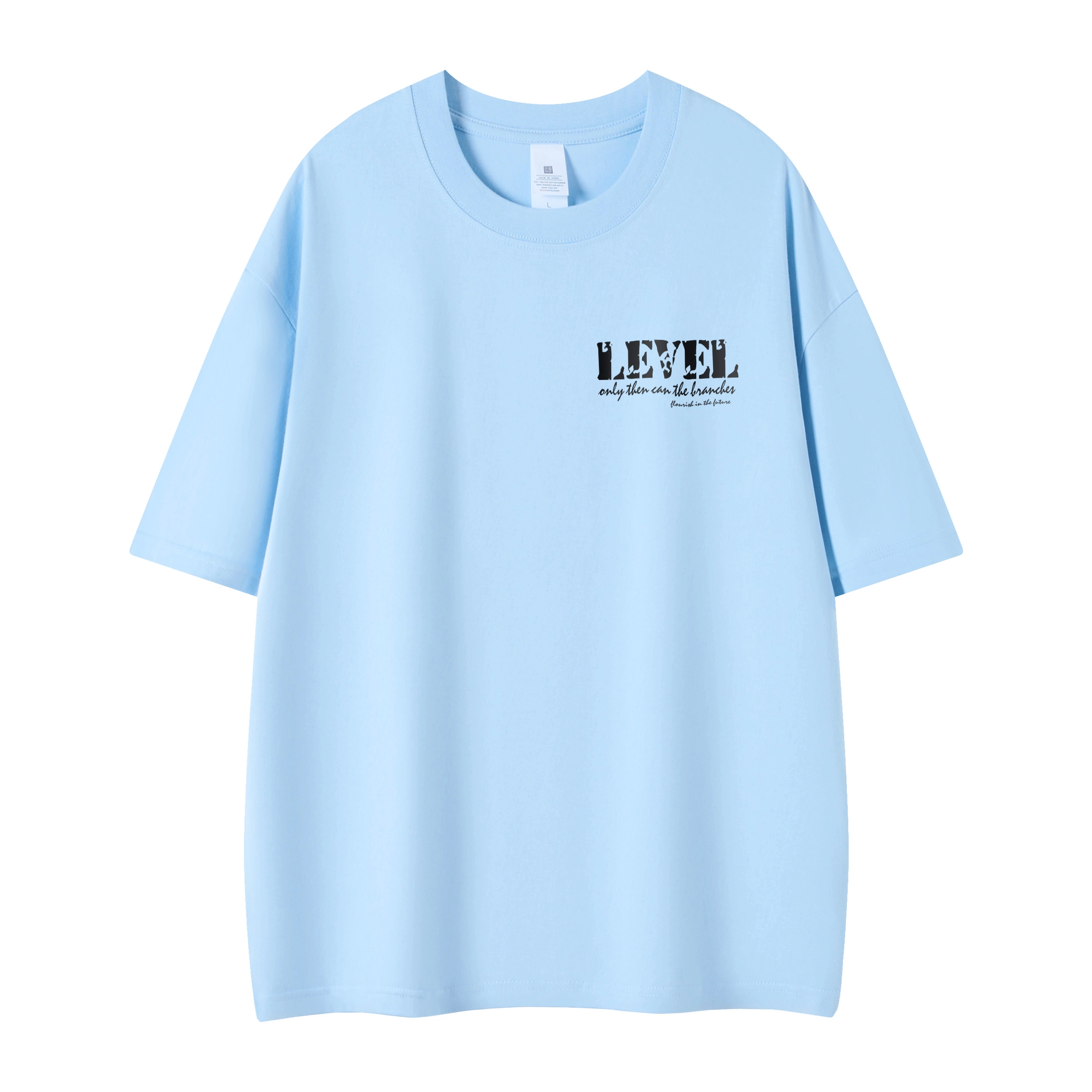 LEVEL T