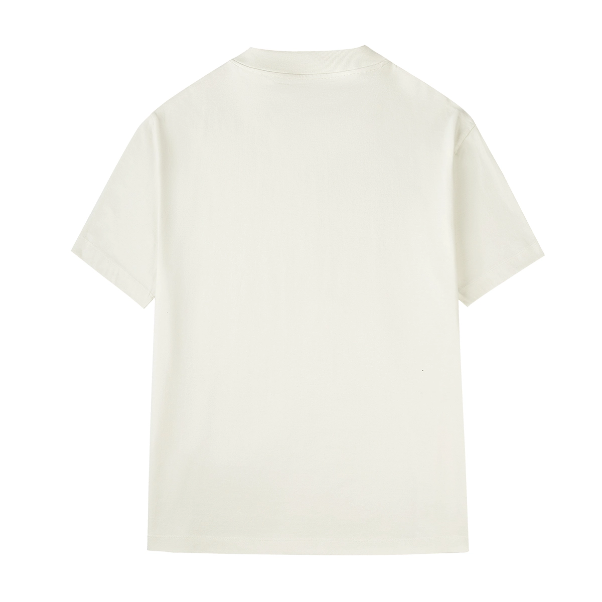 HOTSUIT Logo T