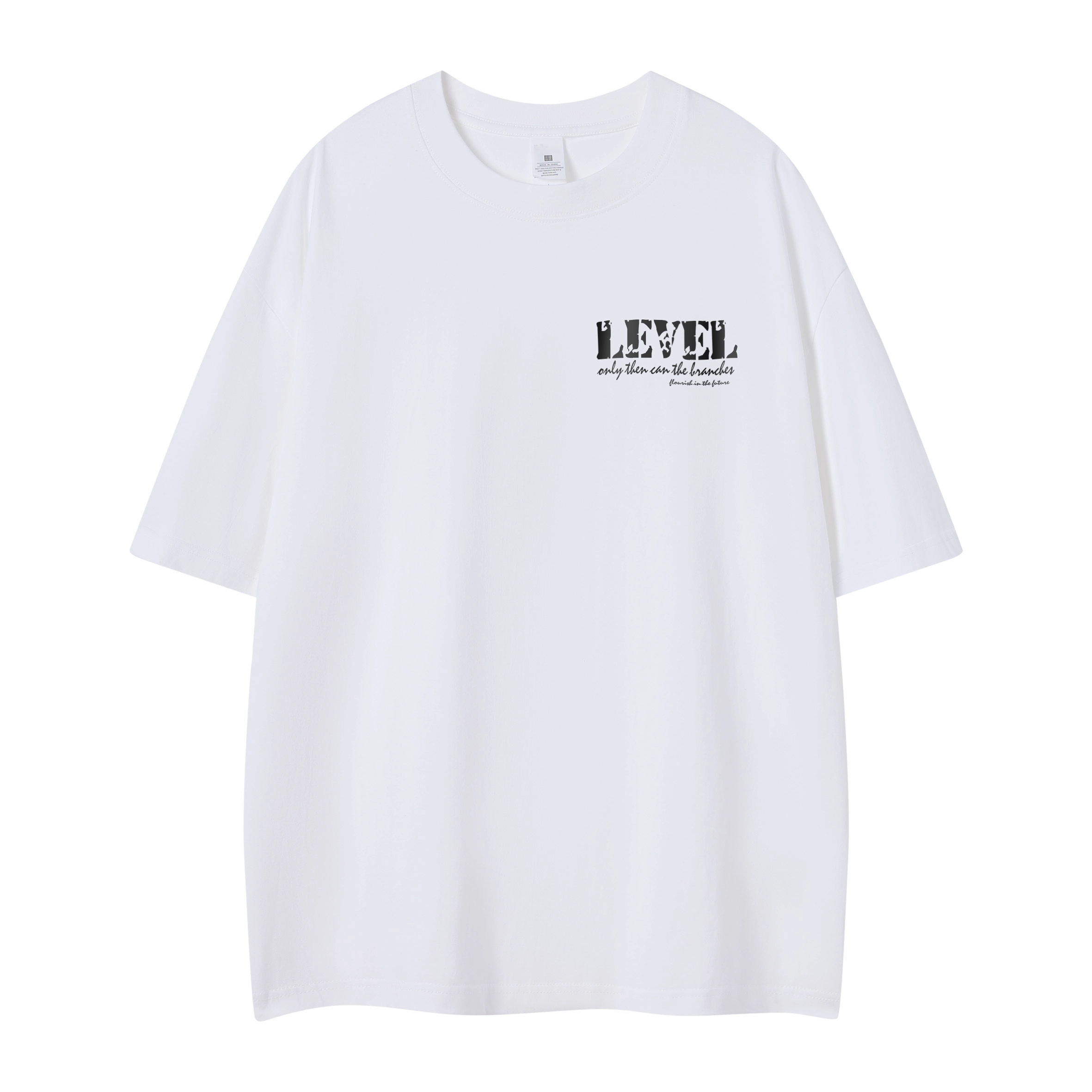 LEVEL T