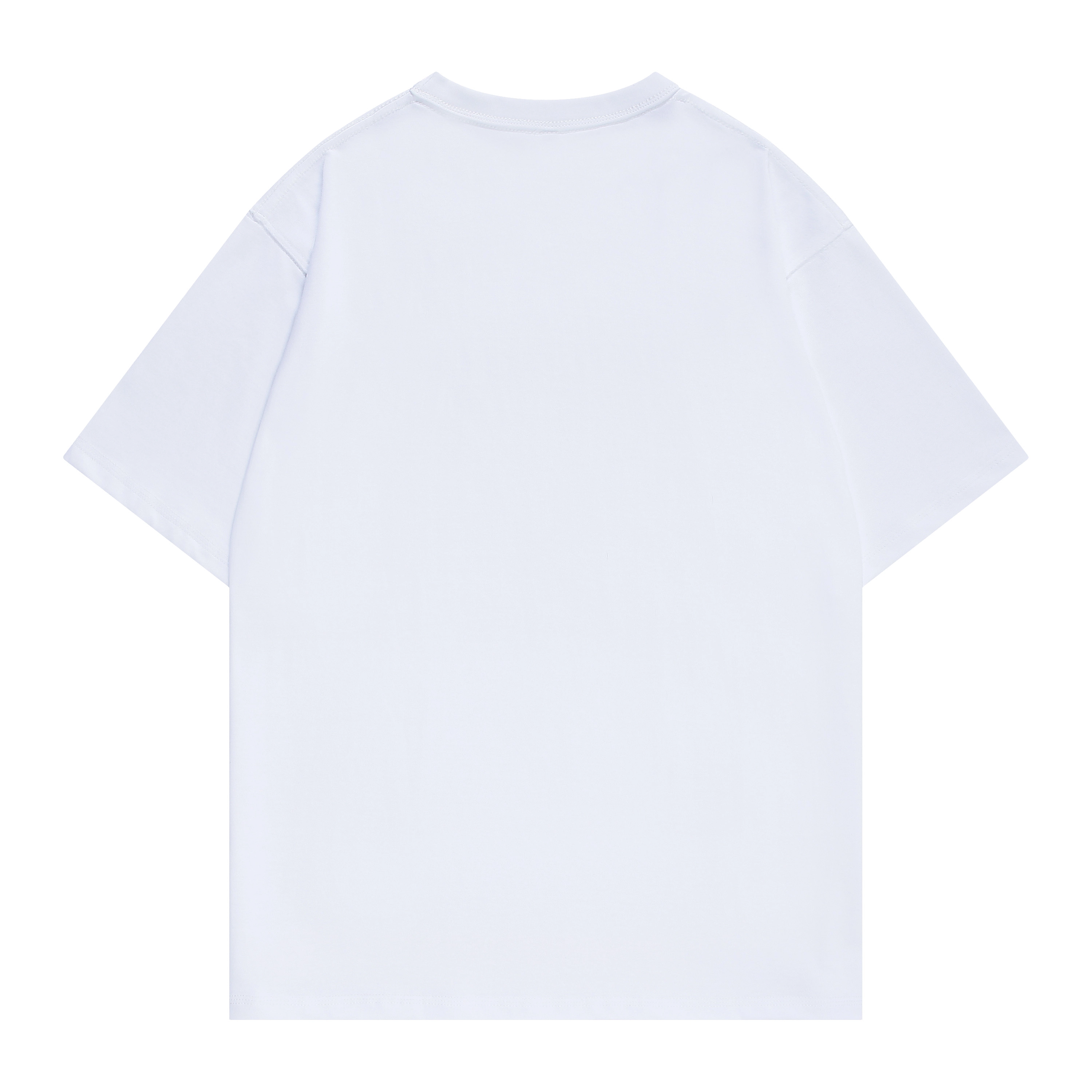 MindBridge T