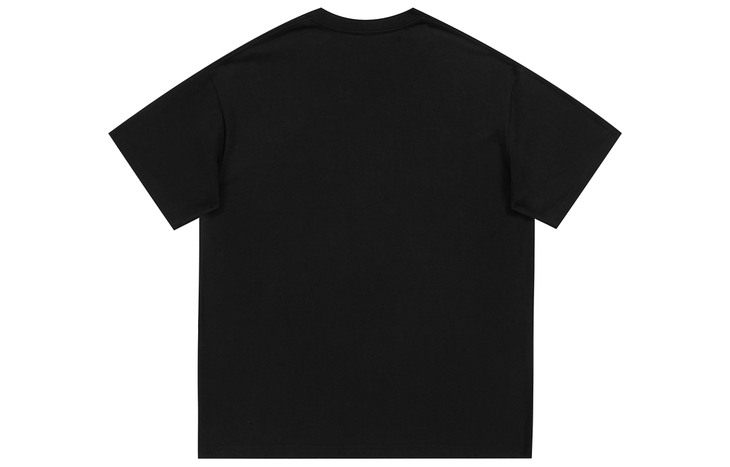 CENPIN T