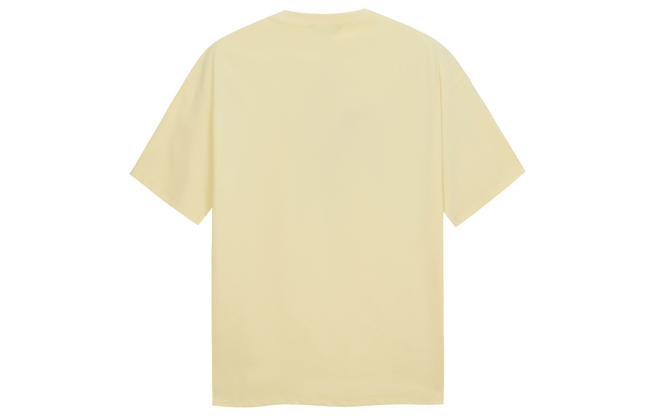 ICONS Lab T
