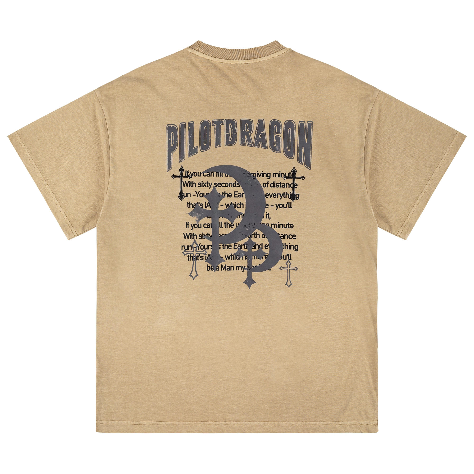 PILOTDRAGON PDlogoT