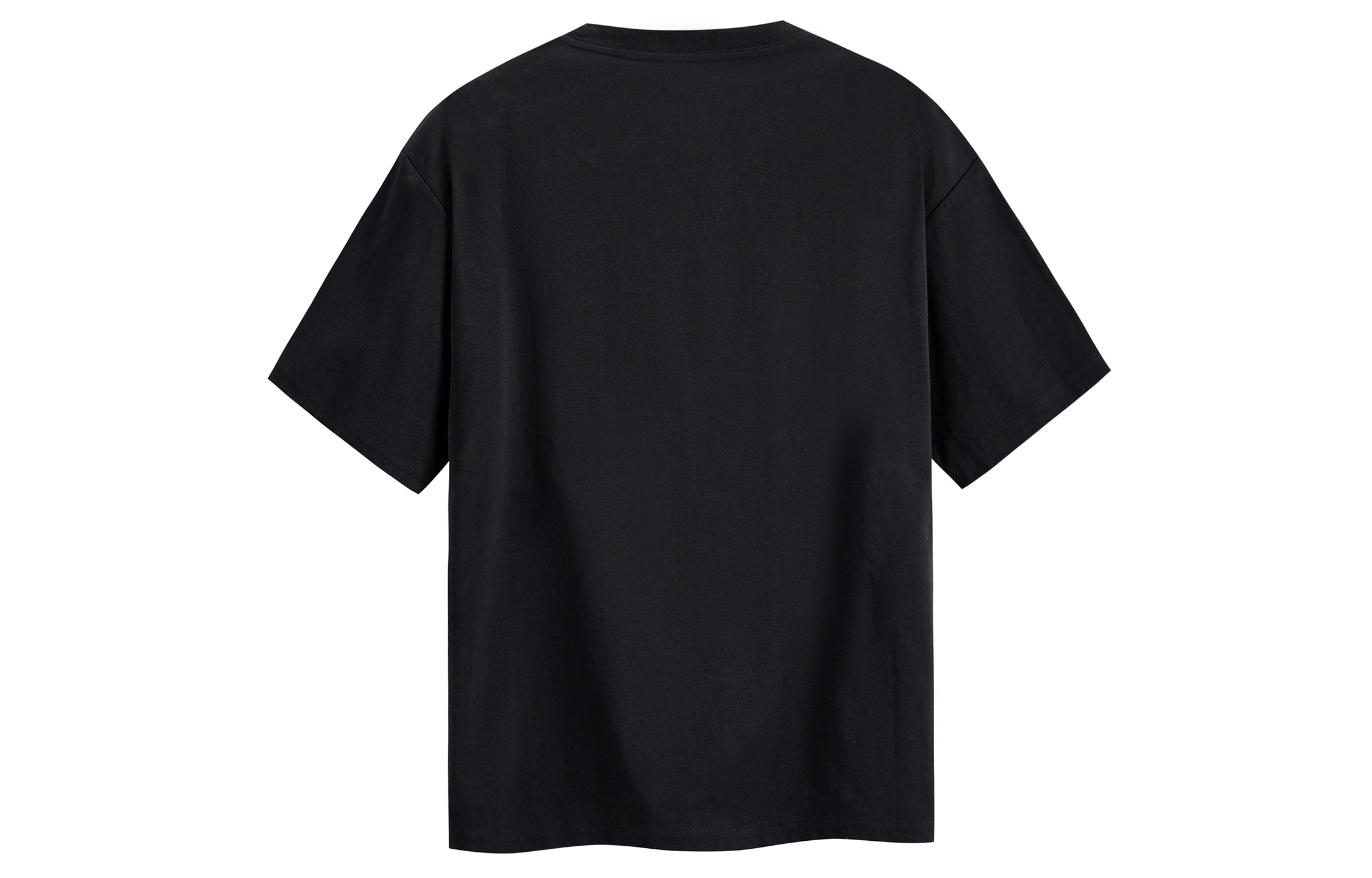 ICONS Lab T