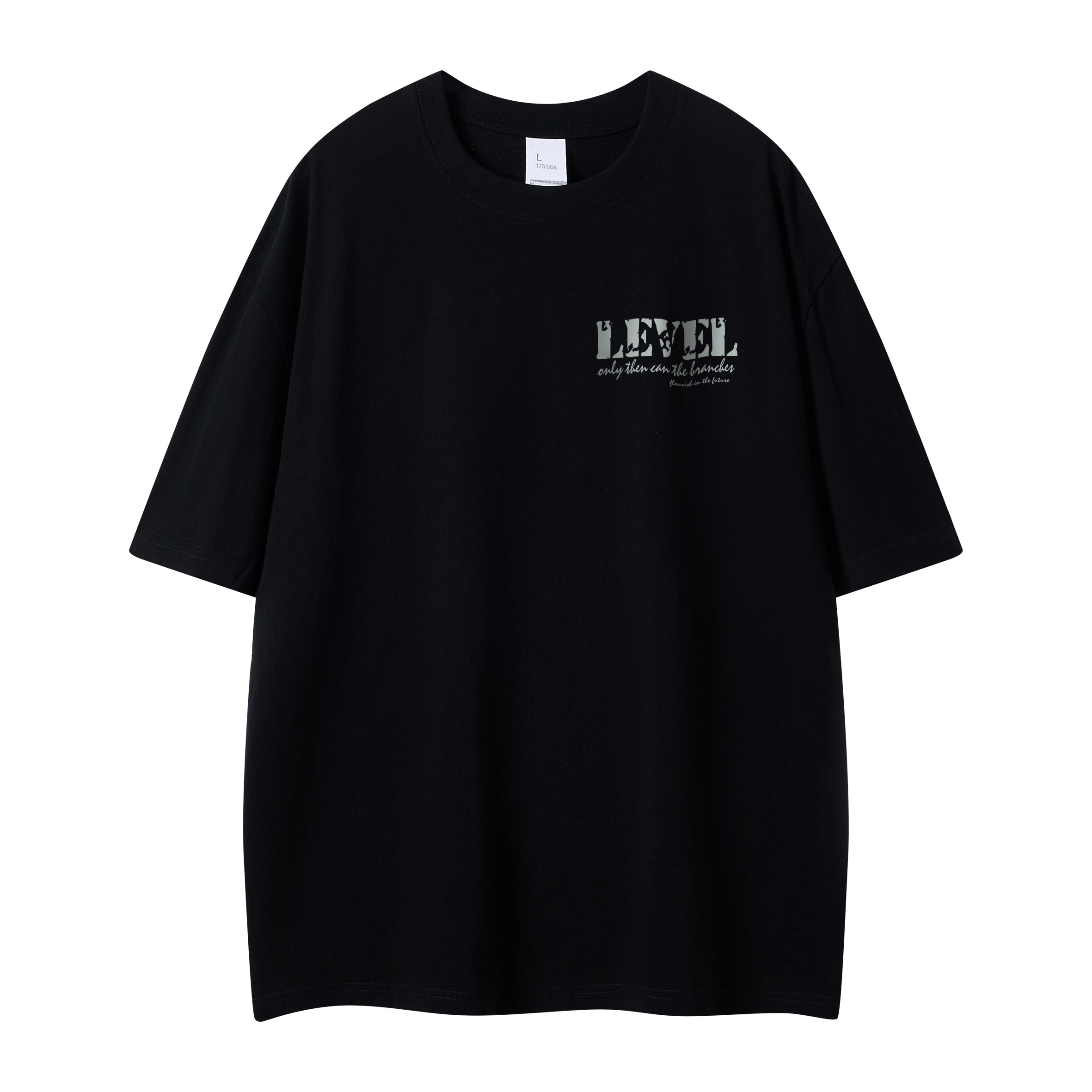 LEVEL T