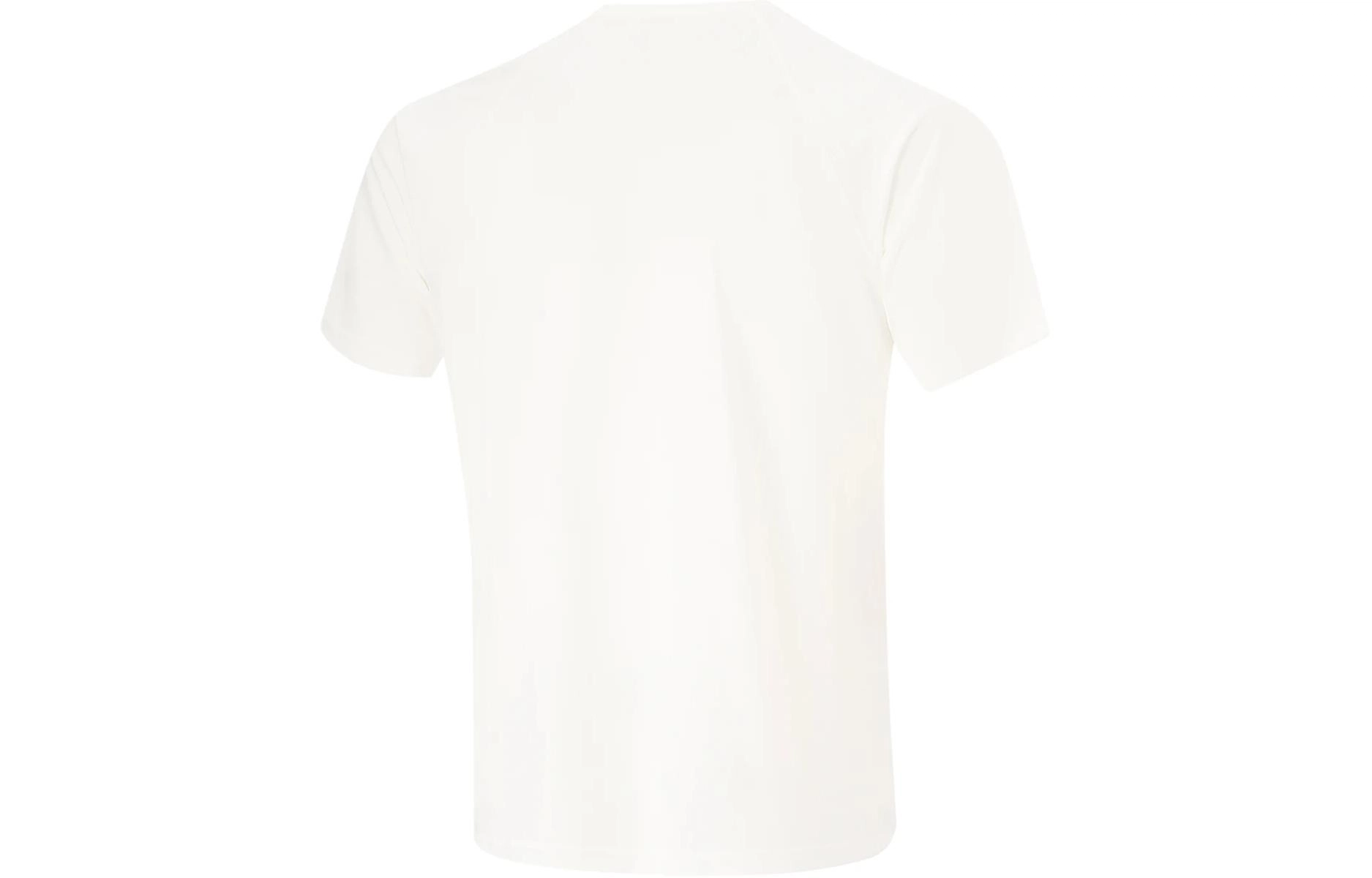 LiNing BADFIVE T