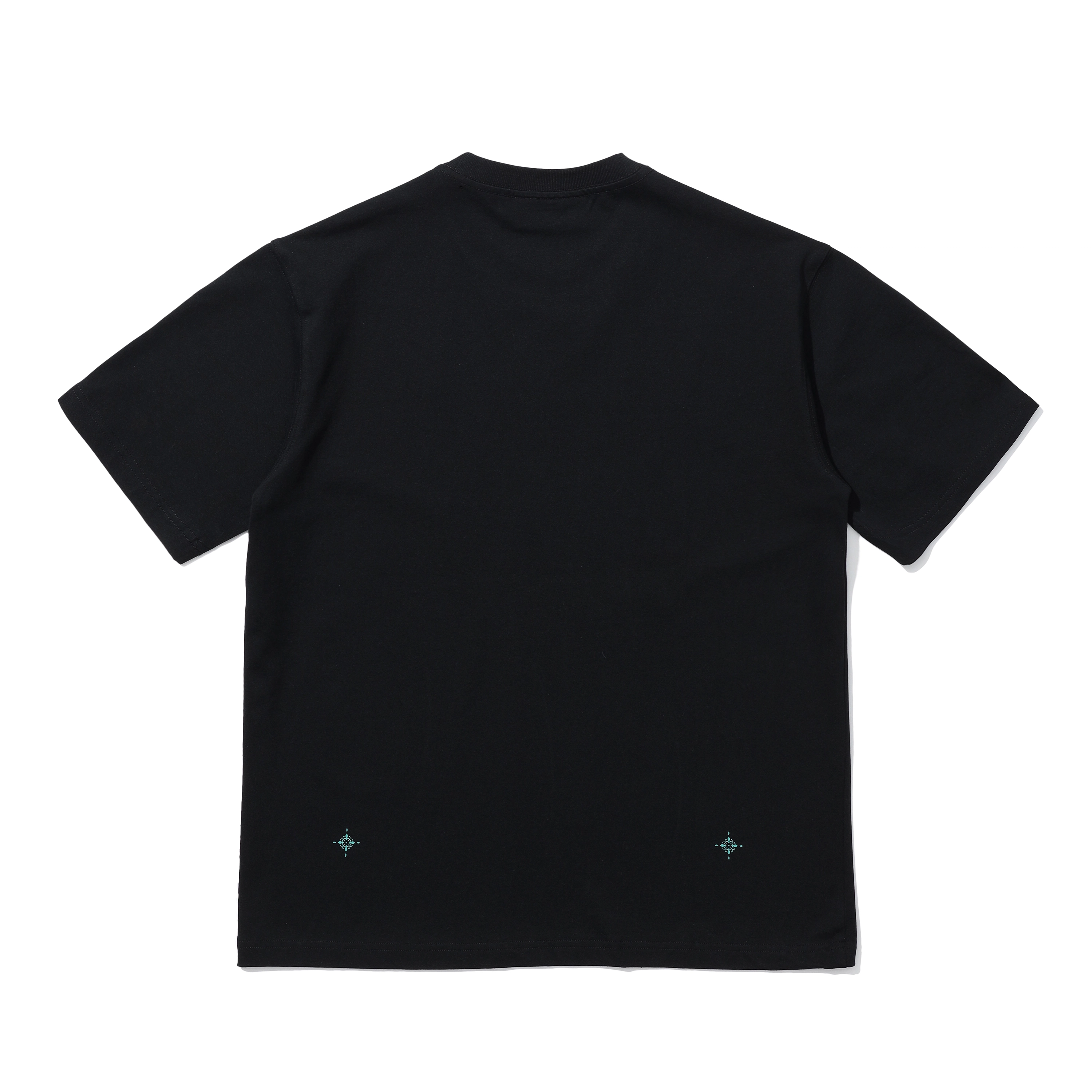 NSTNEW START T
