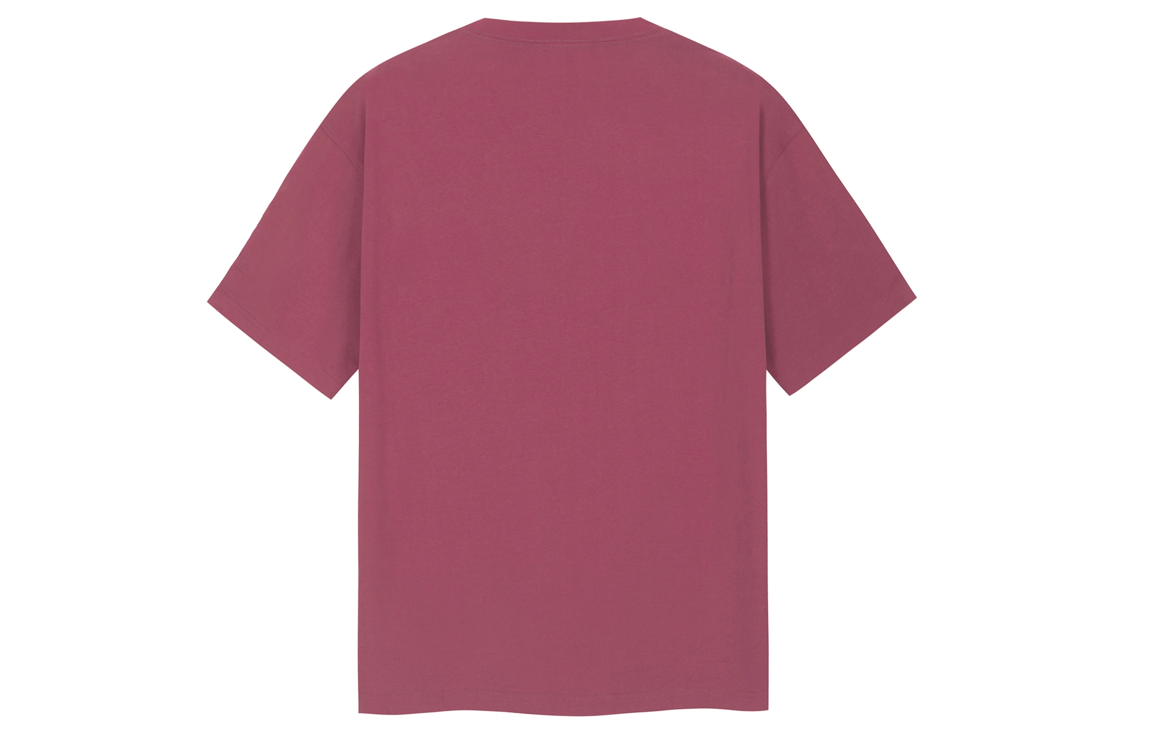 ICONS Lab T