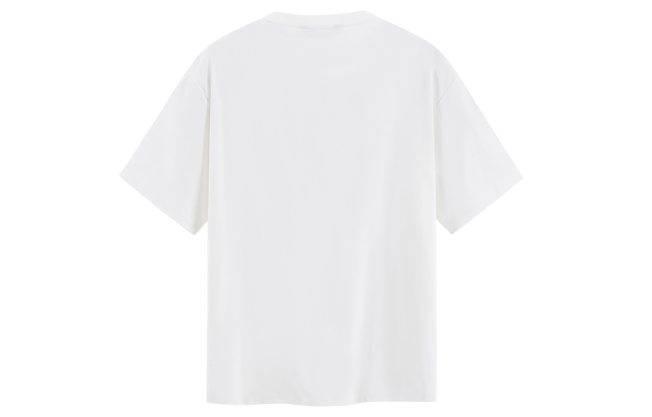 ICONS Lab T
