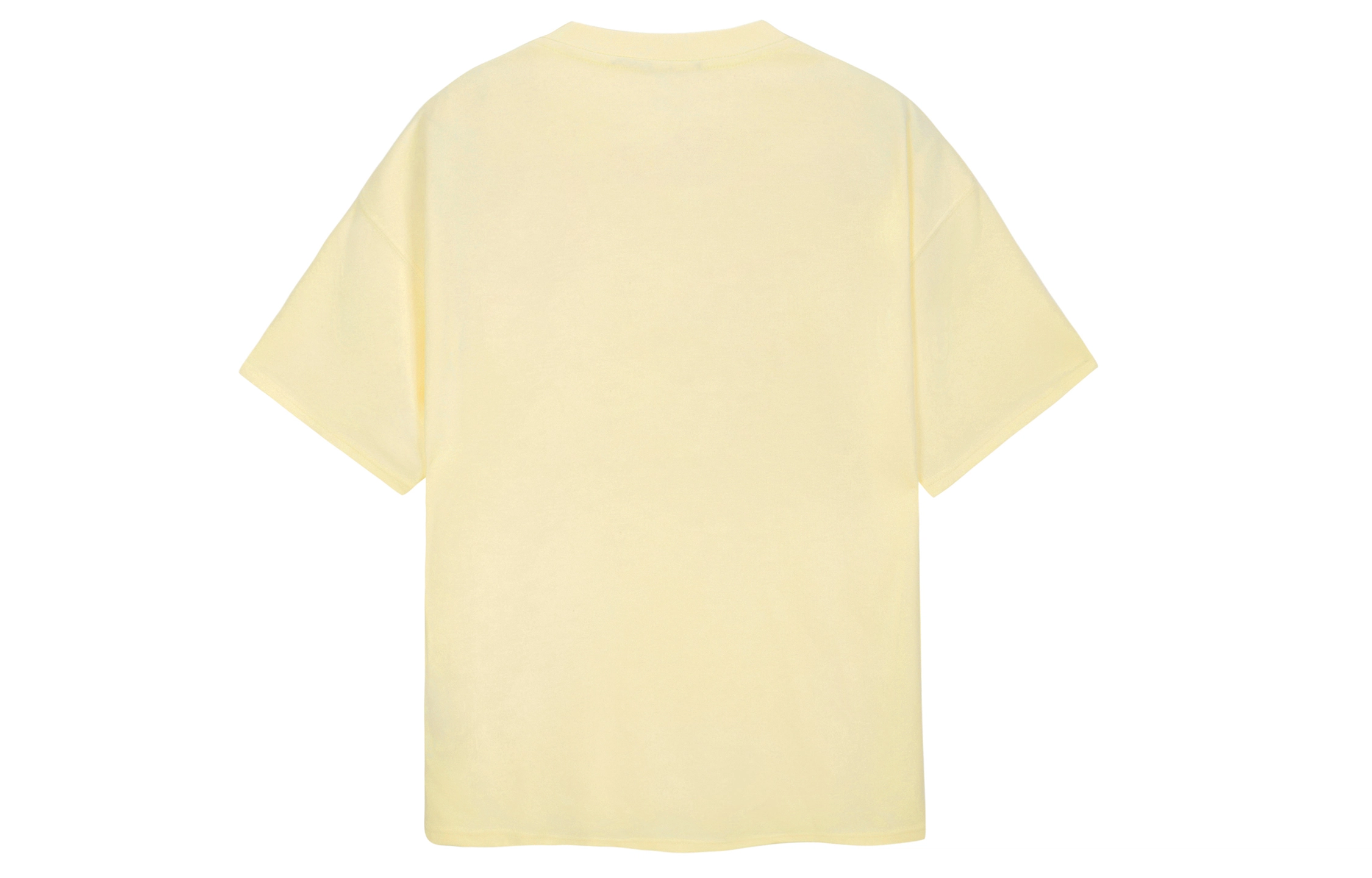 ICONS Lab T