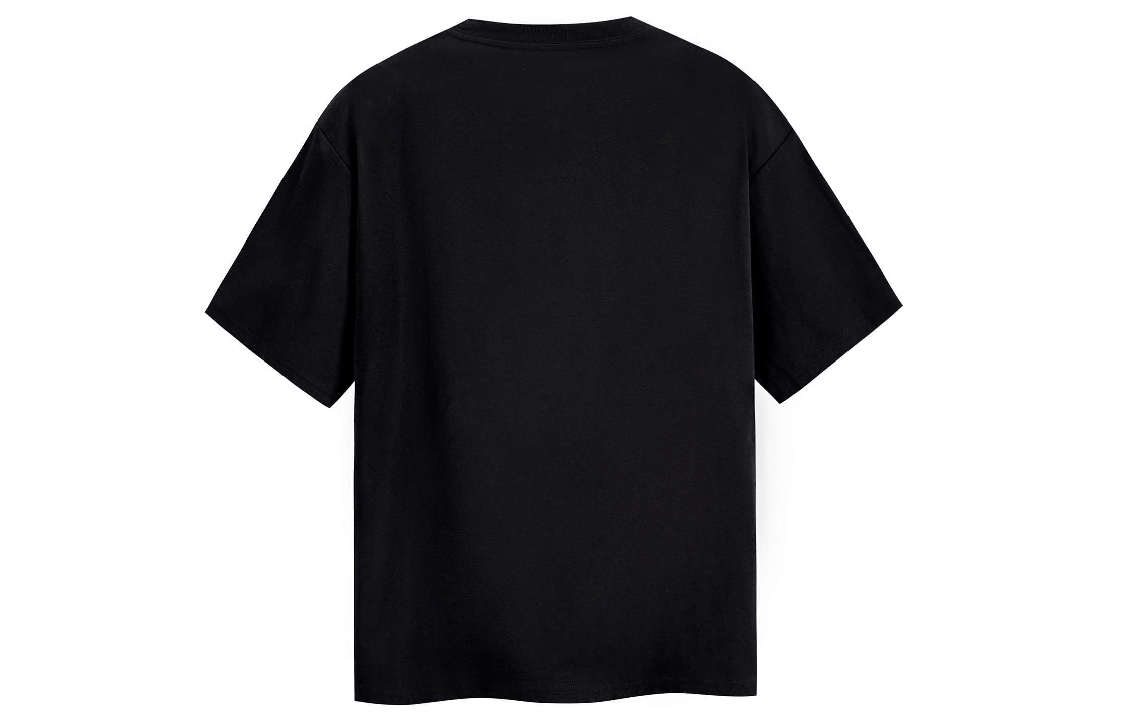 ICONS Lab T