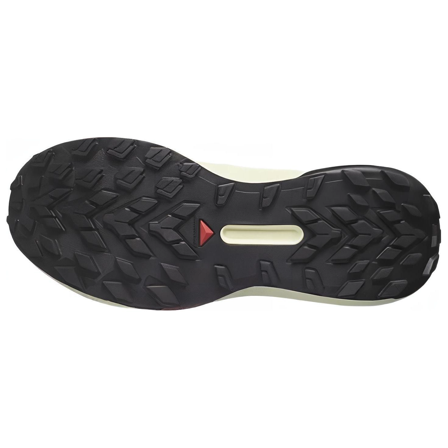 SALOMON GENESIS