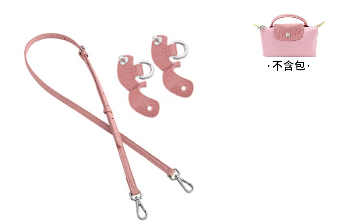 mini longchamp