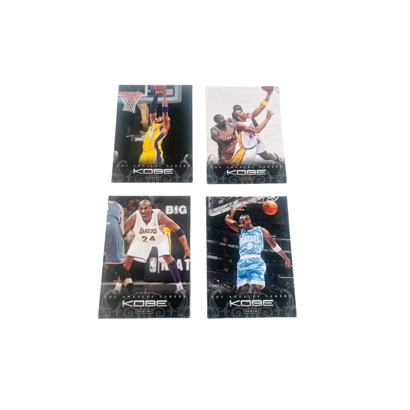 PANINI 2012 4