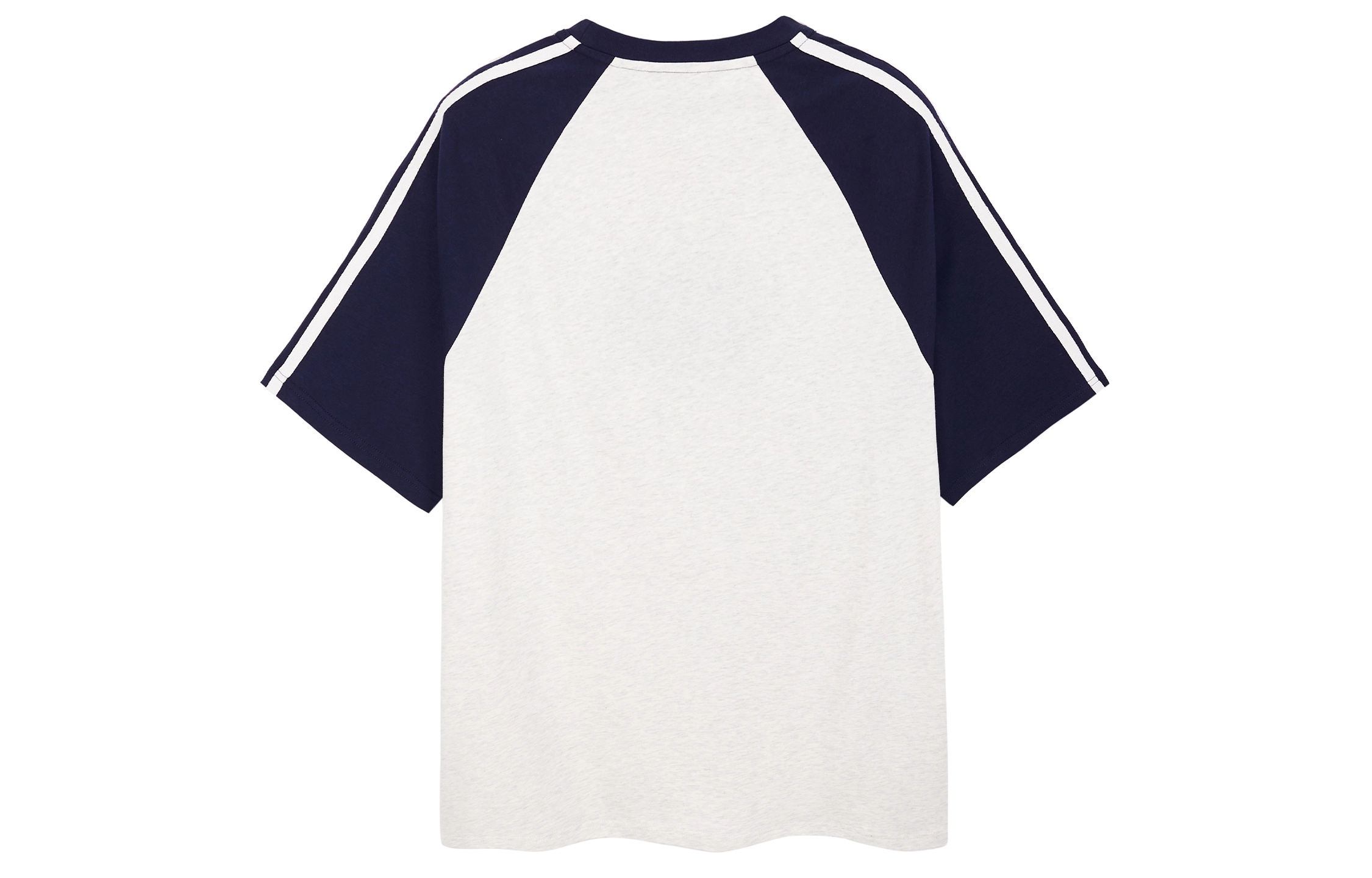 ICONS Lab T