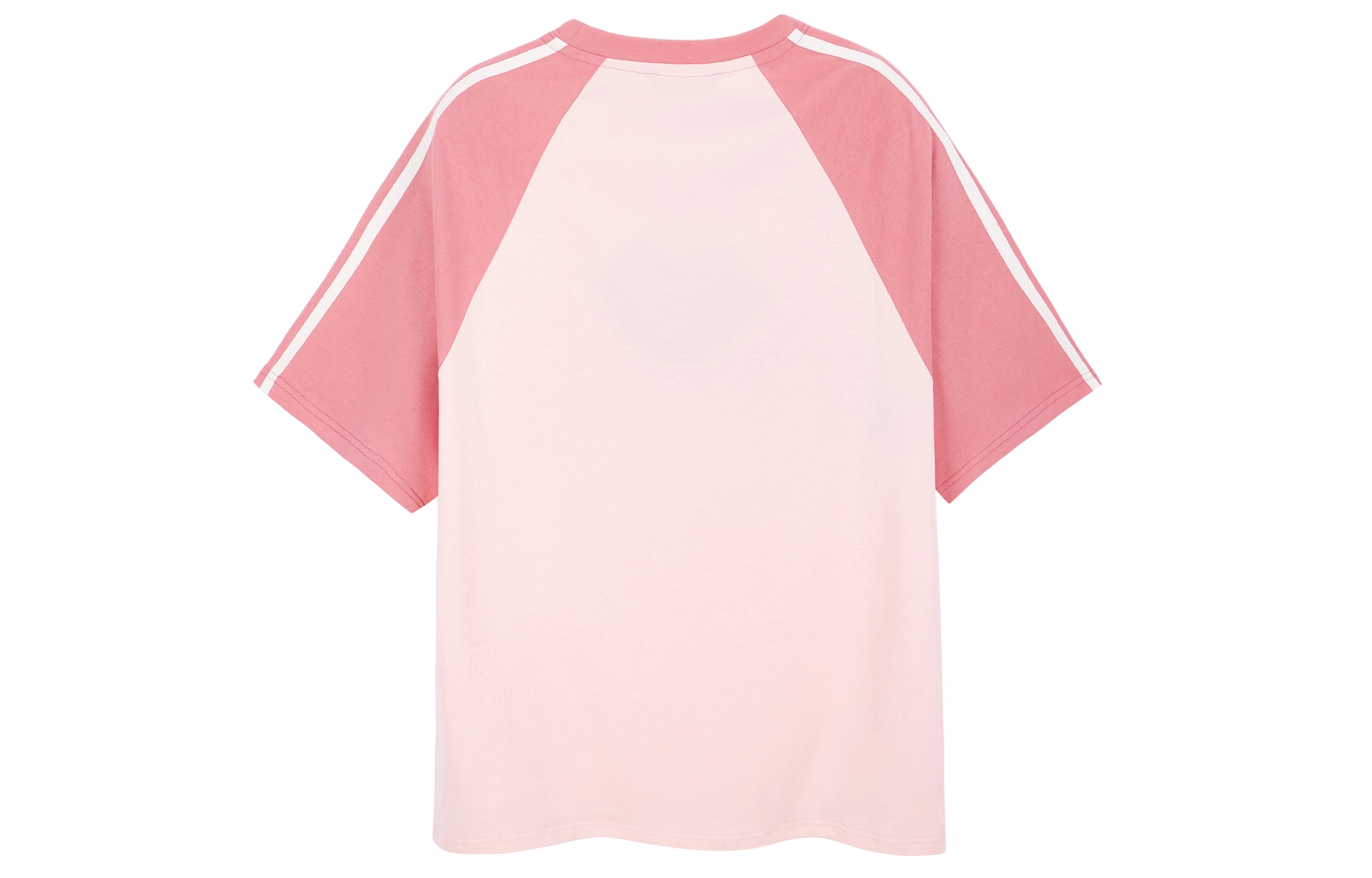 ICONS Lab T