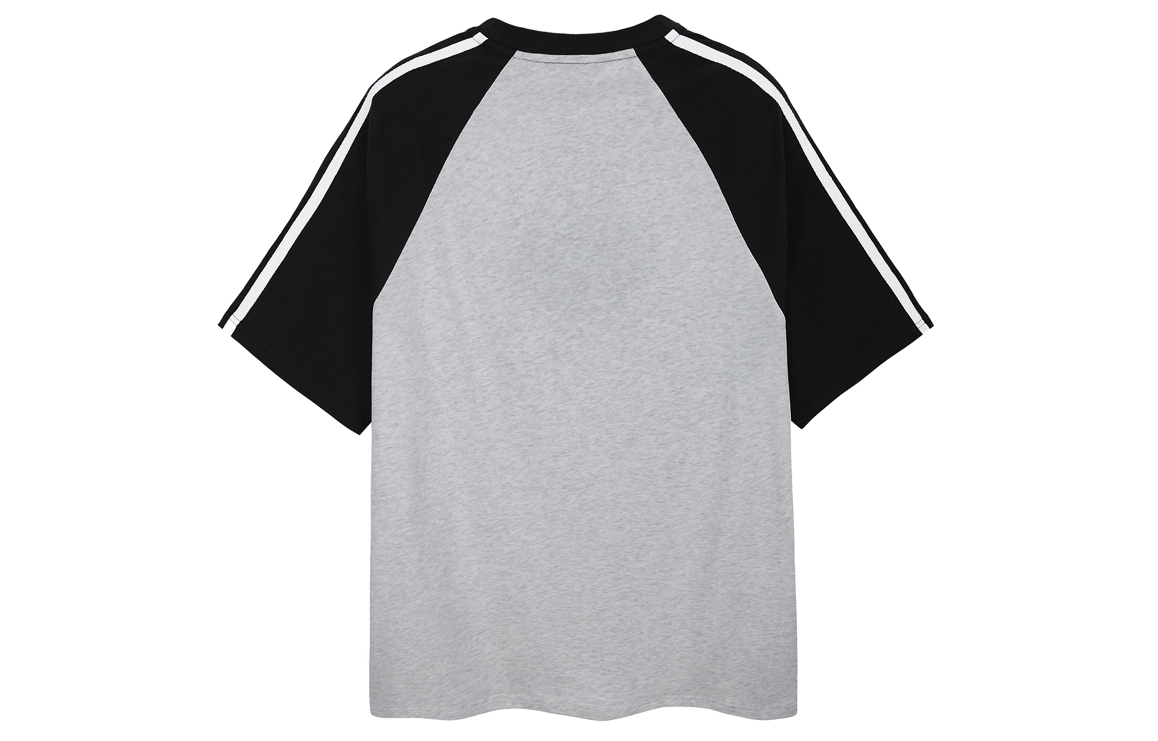ICONS Lab T