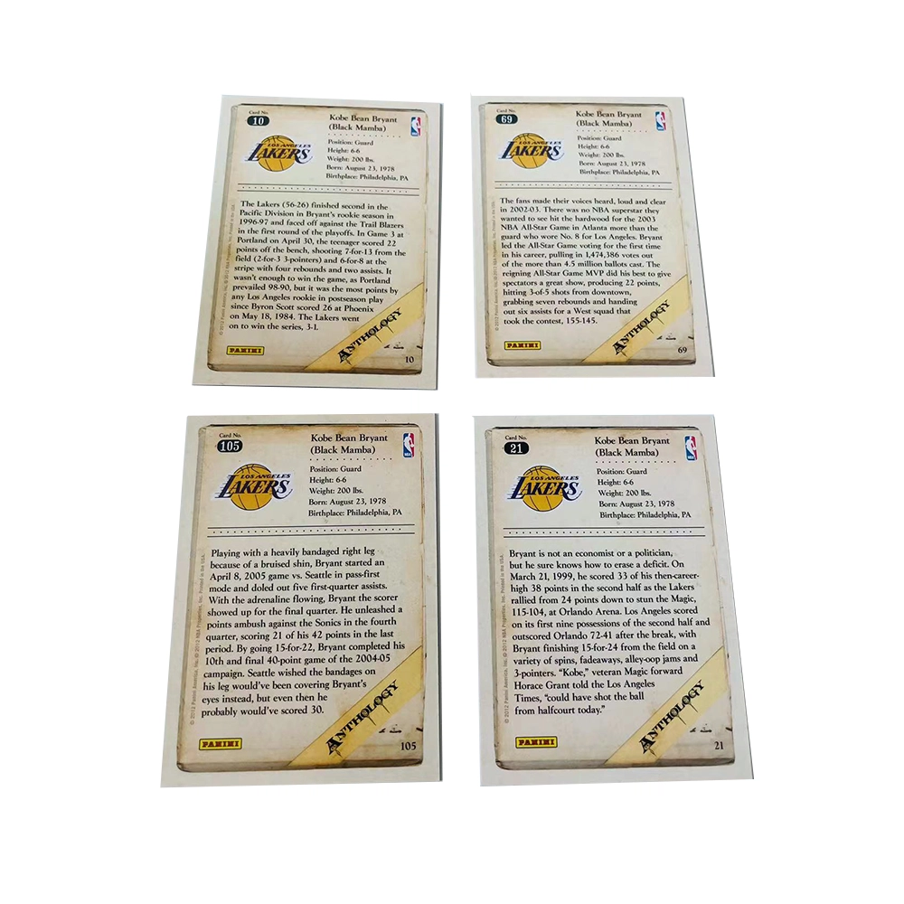 PANINI 2012 4