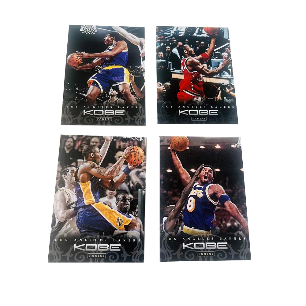 PANINI 2012 4