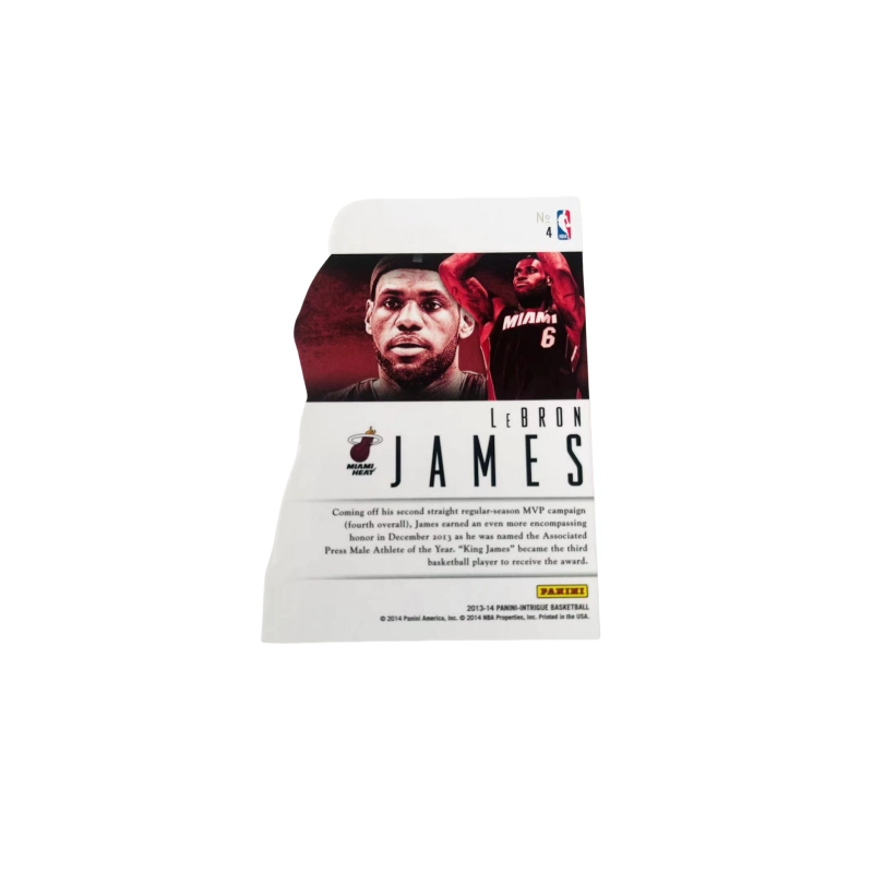 PANINI 13-14