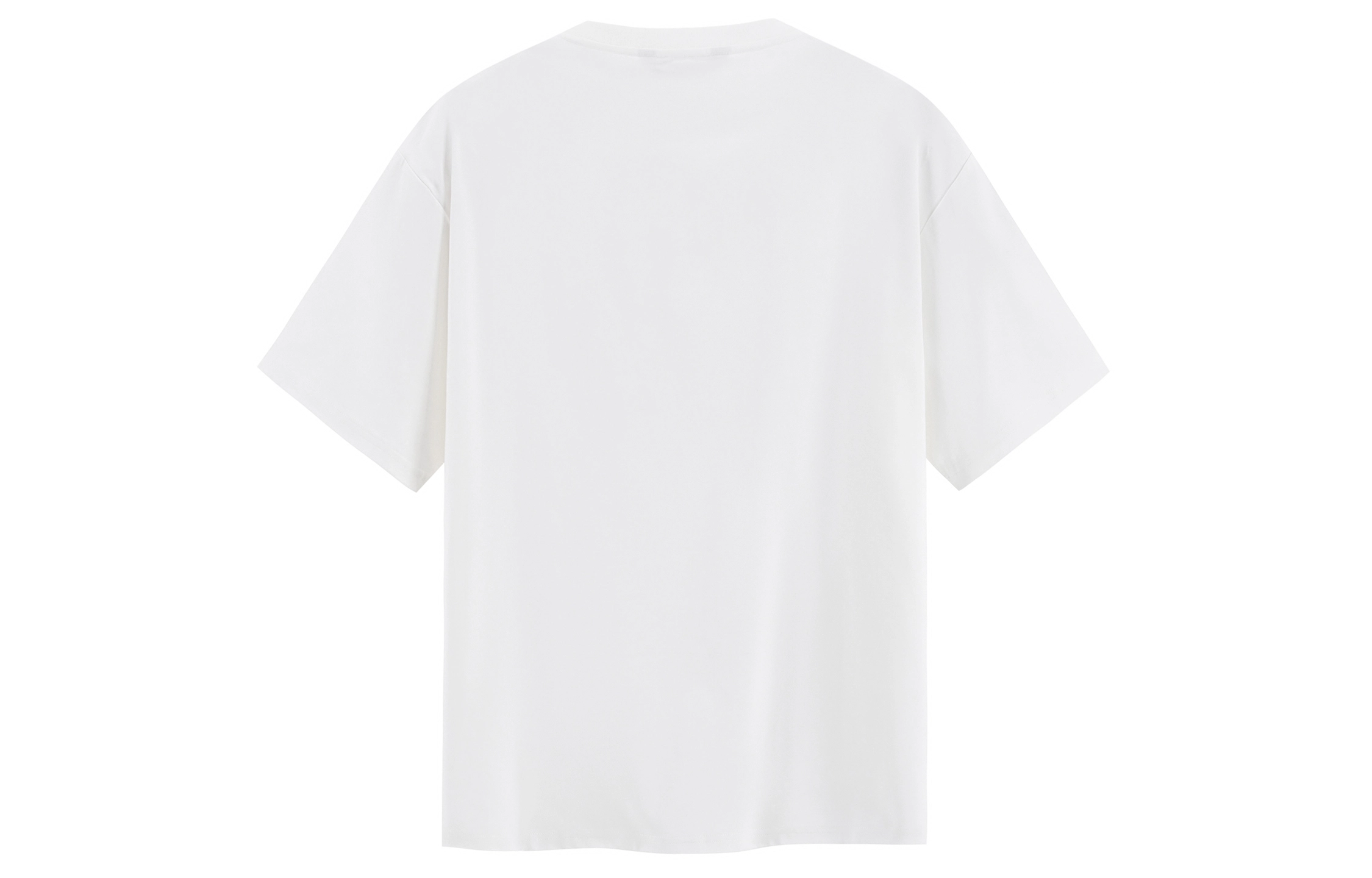 ICONS Lab T