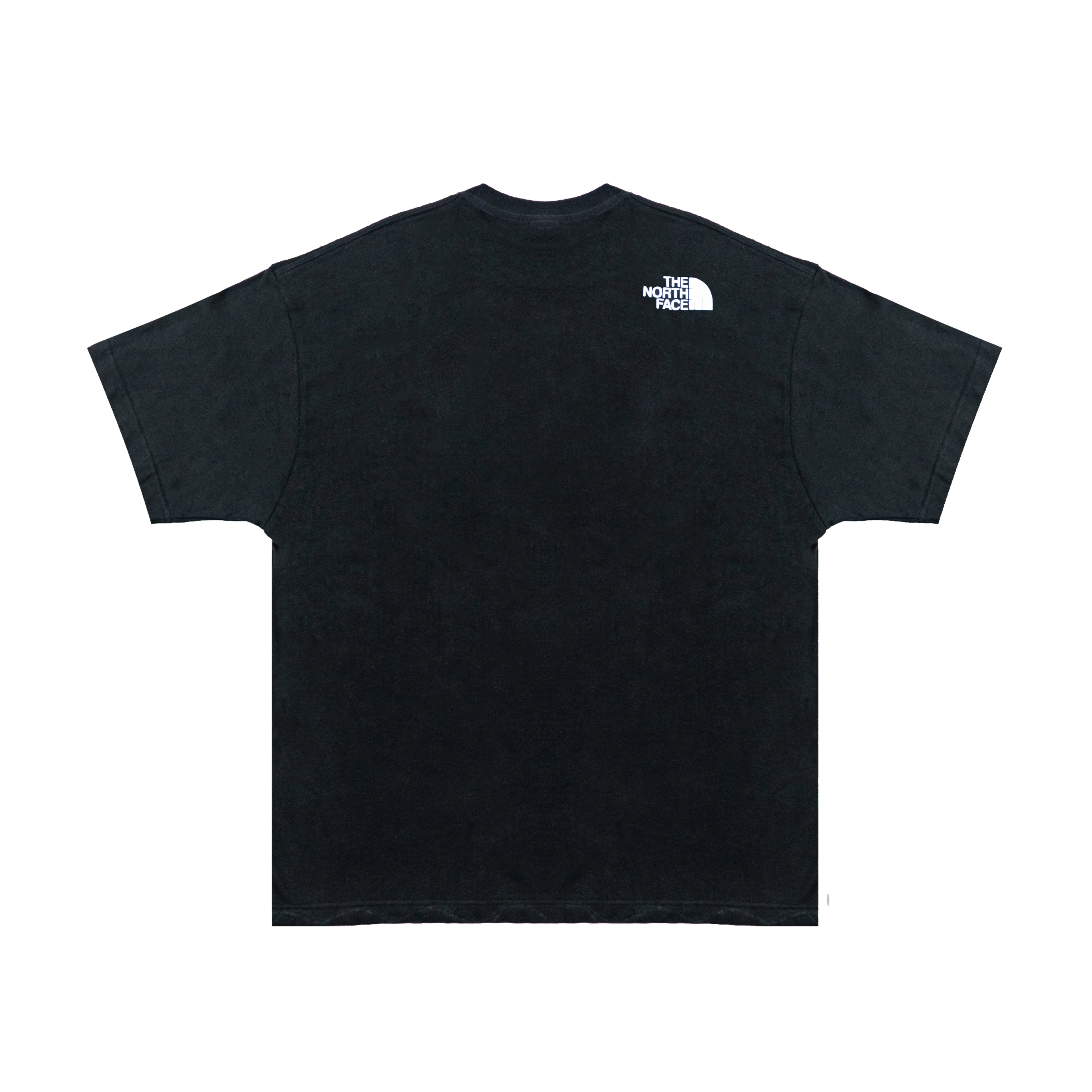 THE NORTH FACE logoT