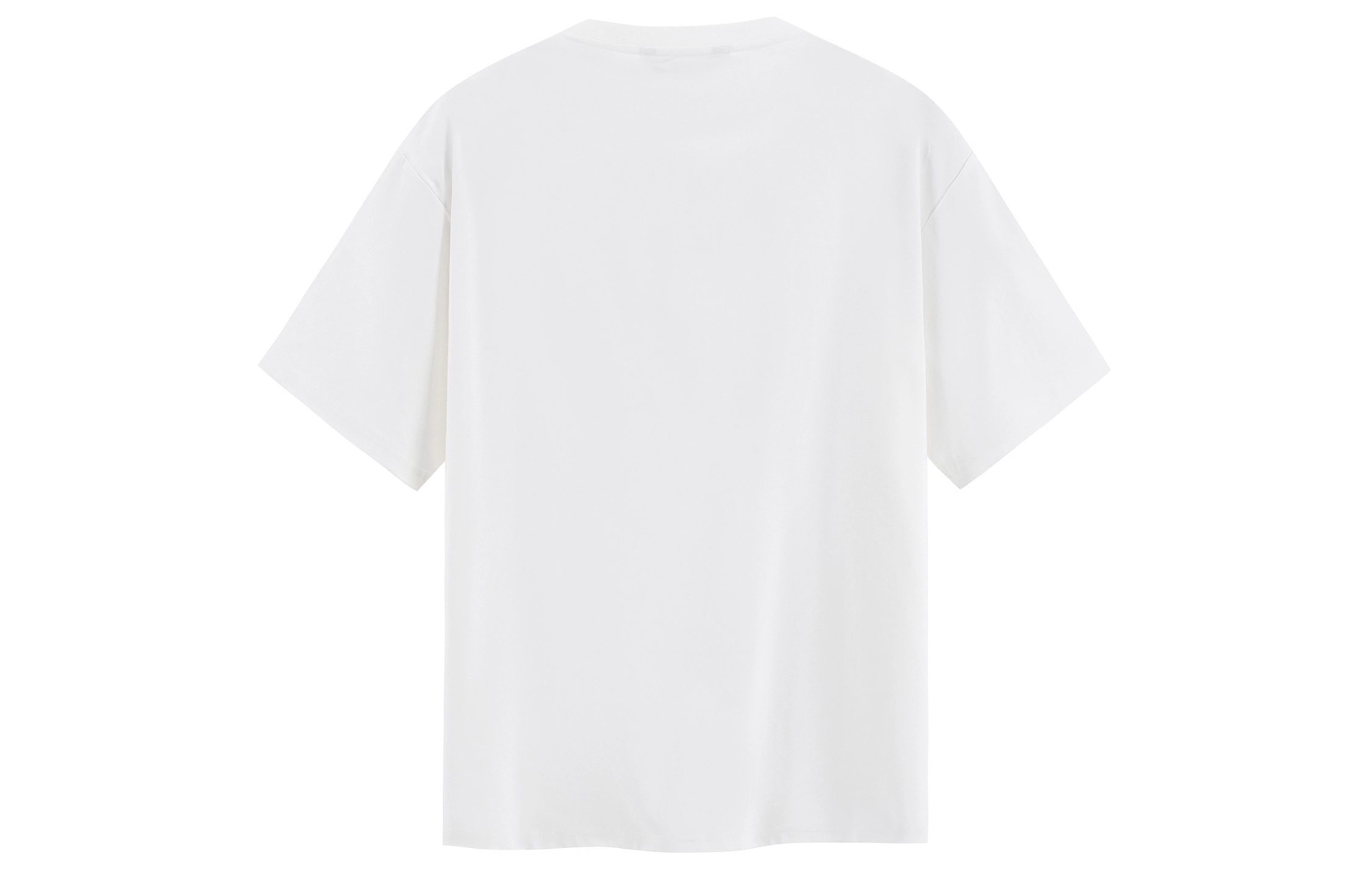 ICONS Lab T