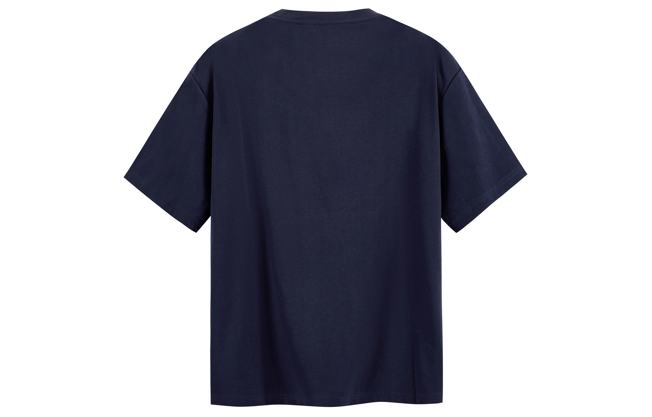 ICONS Lab T