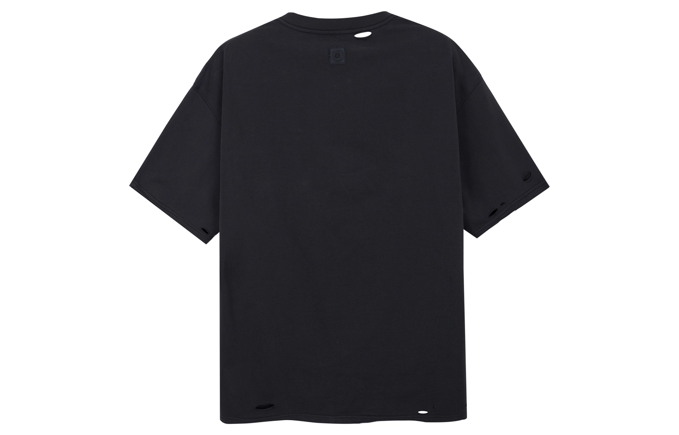 ICONS Lab T