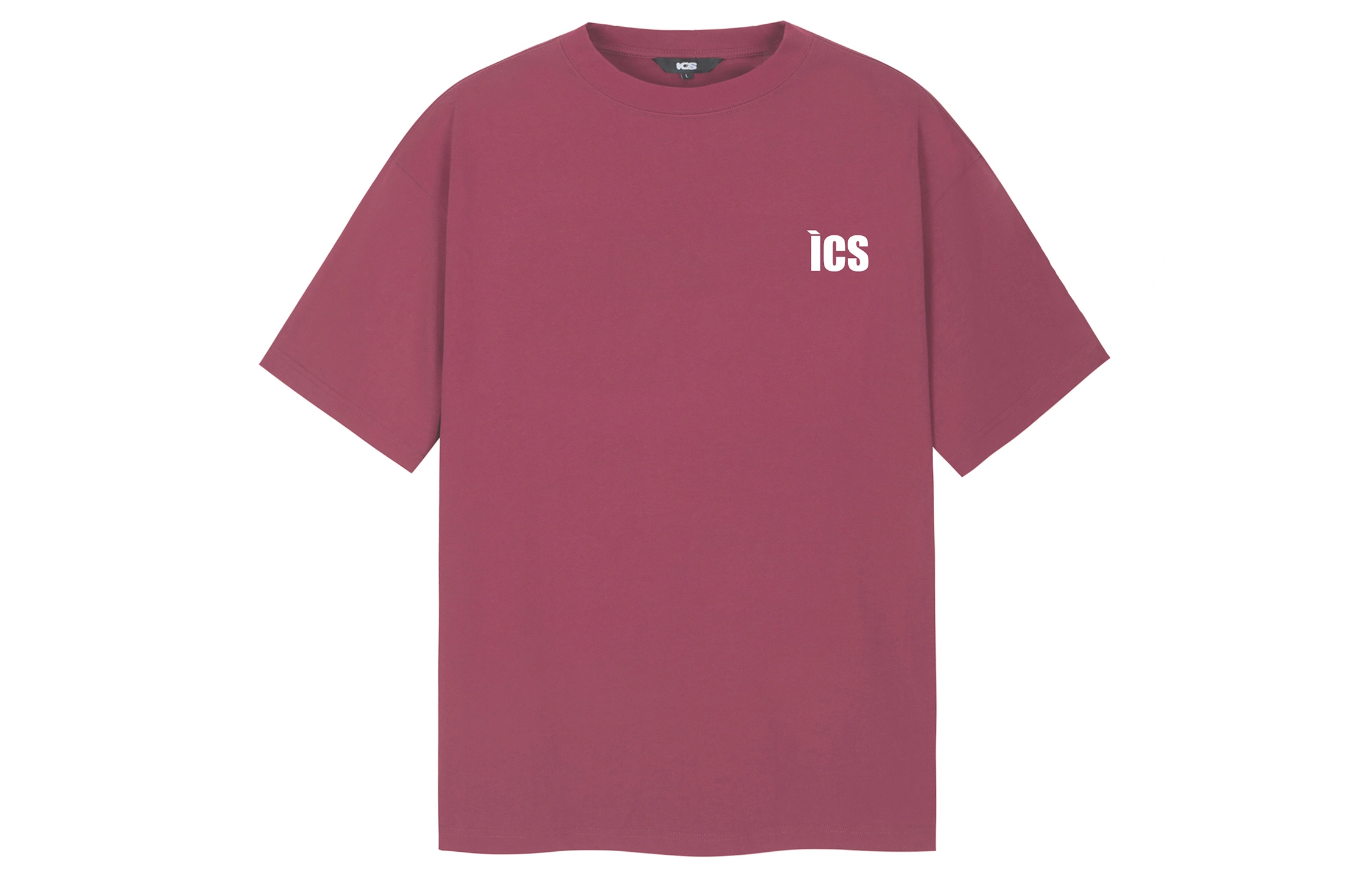 ICONS Lab T