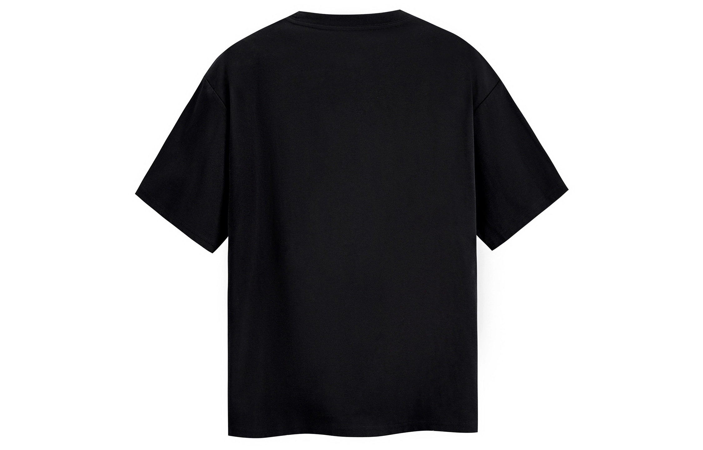 ICONS Lab T