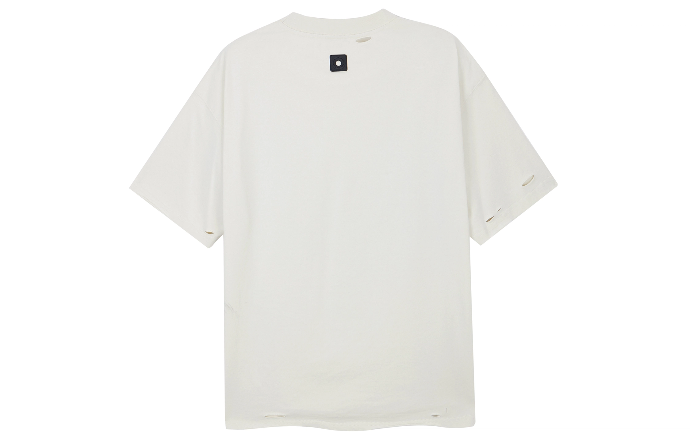 ICONS Lab T
