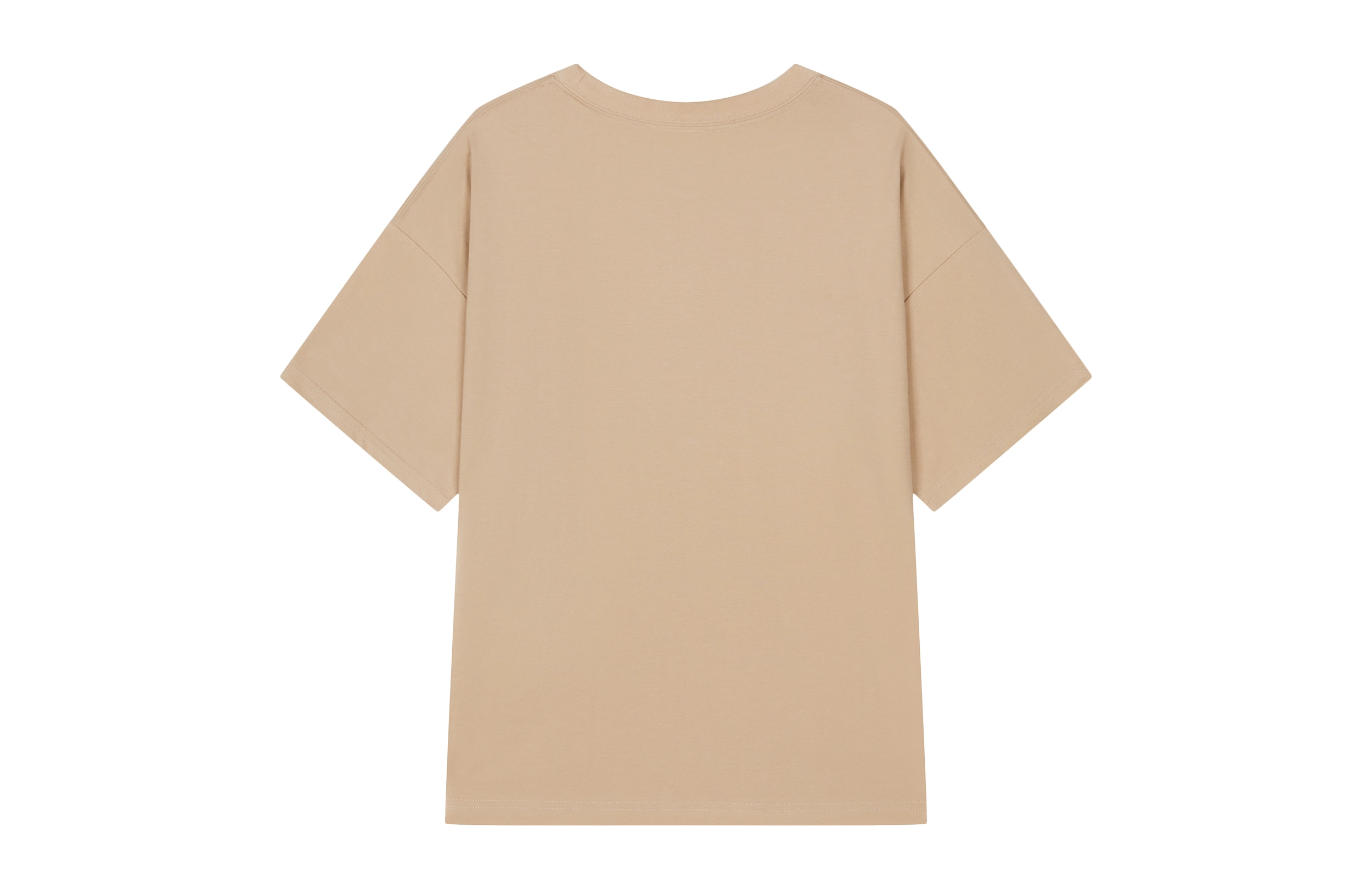 Champion ROCHESTER SS24 Logo T