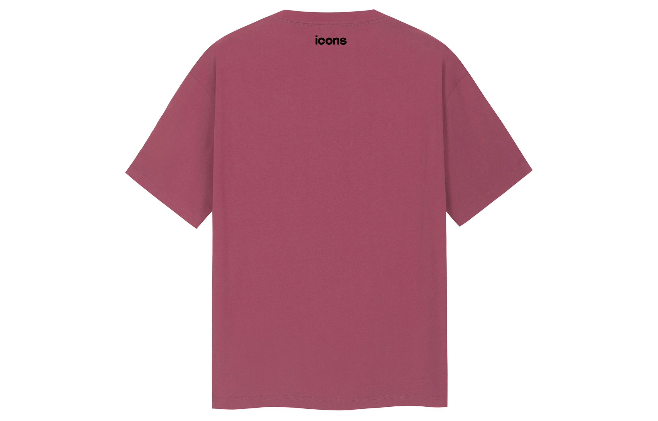 ICONS Lab T