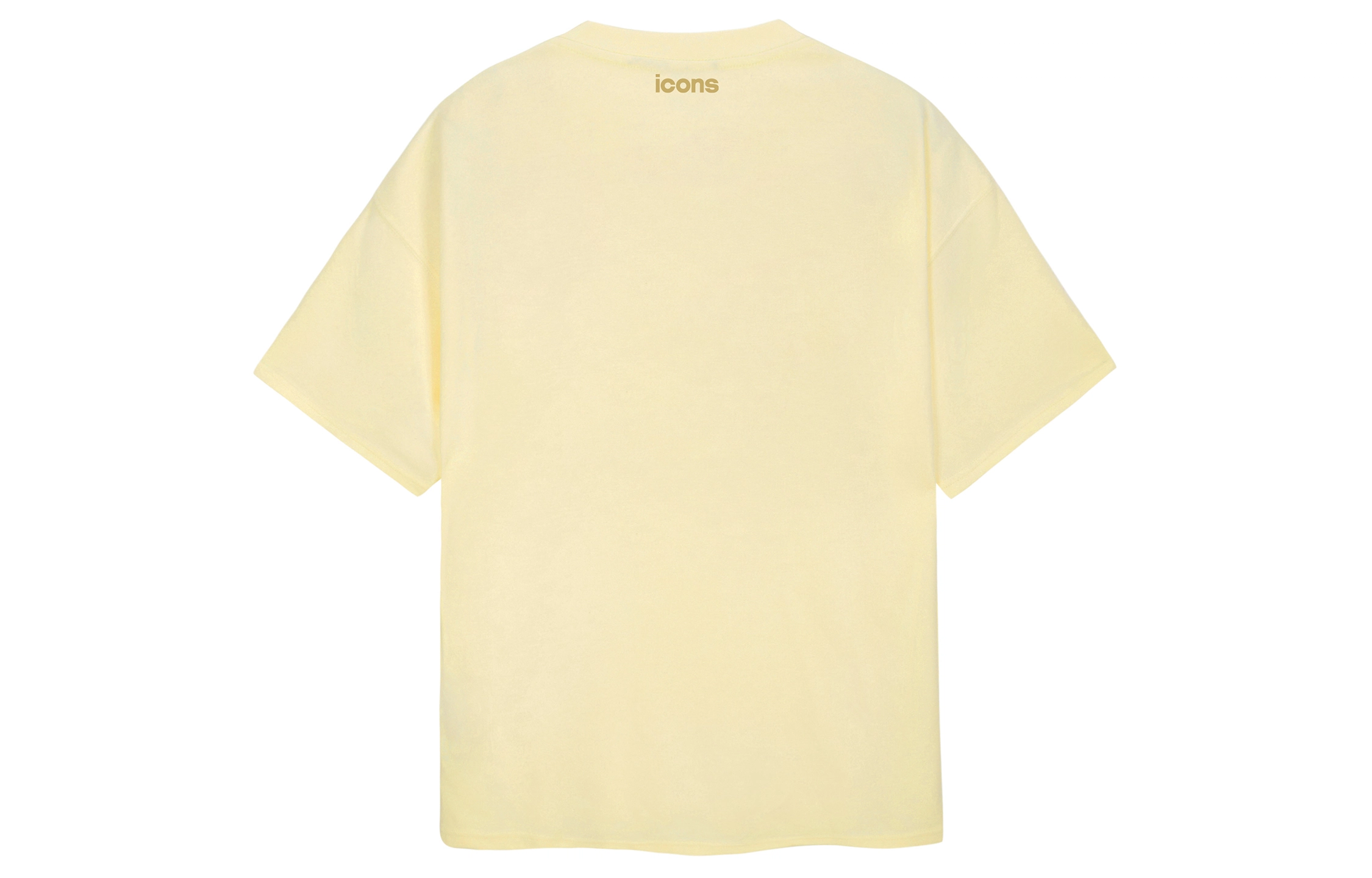 ICONS Lab T