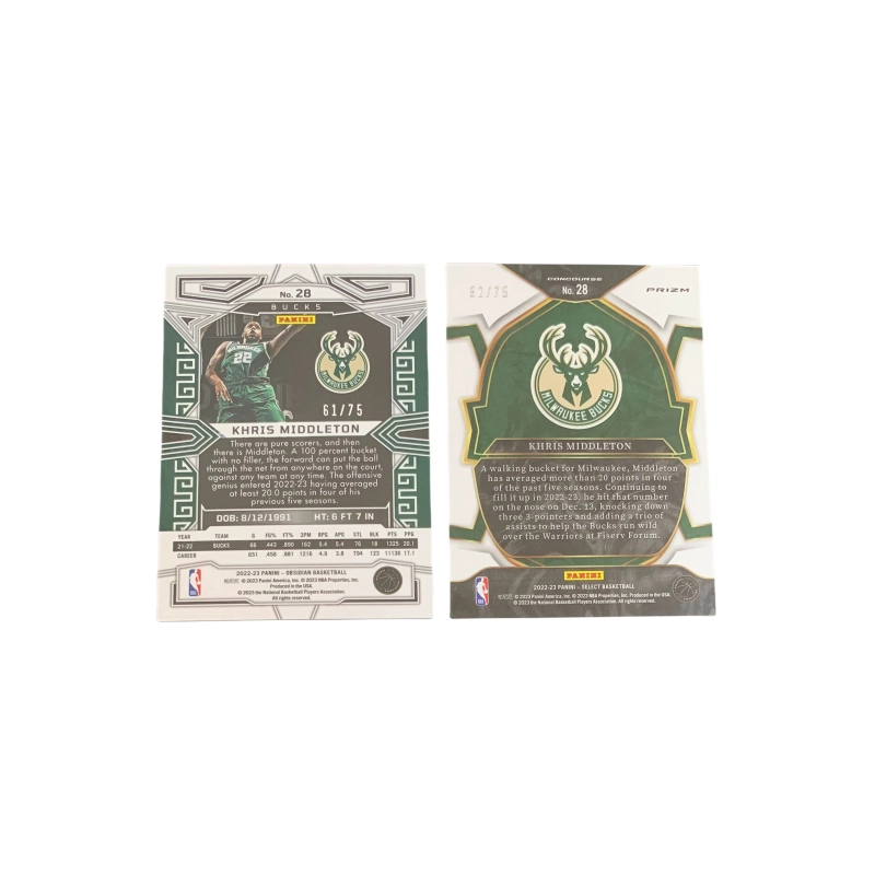 PANINI 2022-23 6175 +select 5275