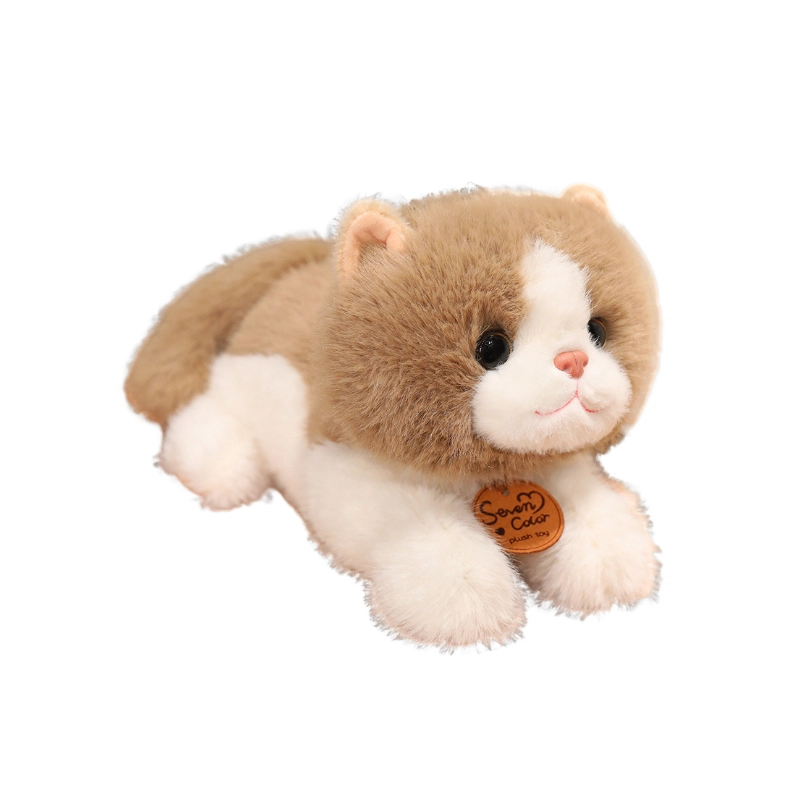 Brangdy 35cm