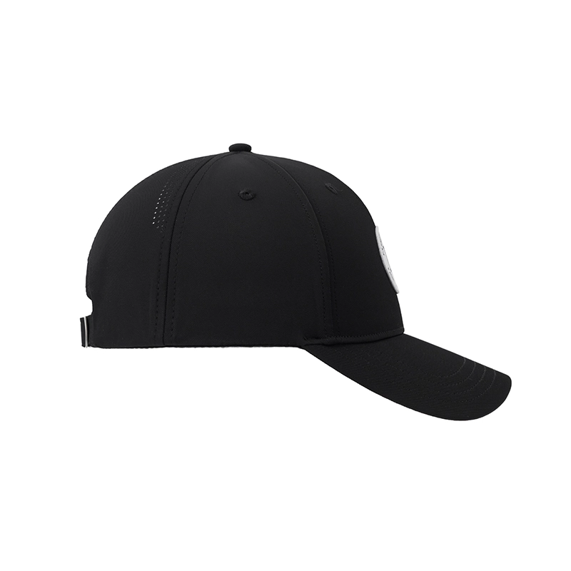 LAR