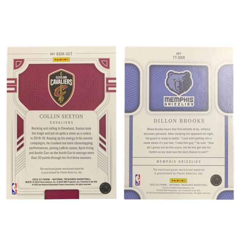 PANINI 2022-239099 +9999