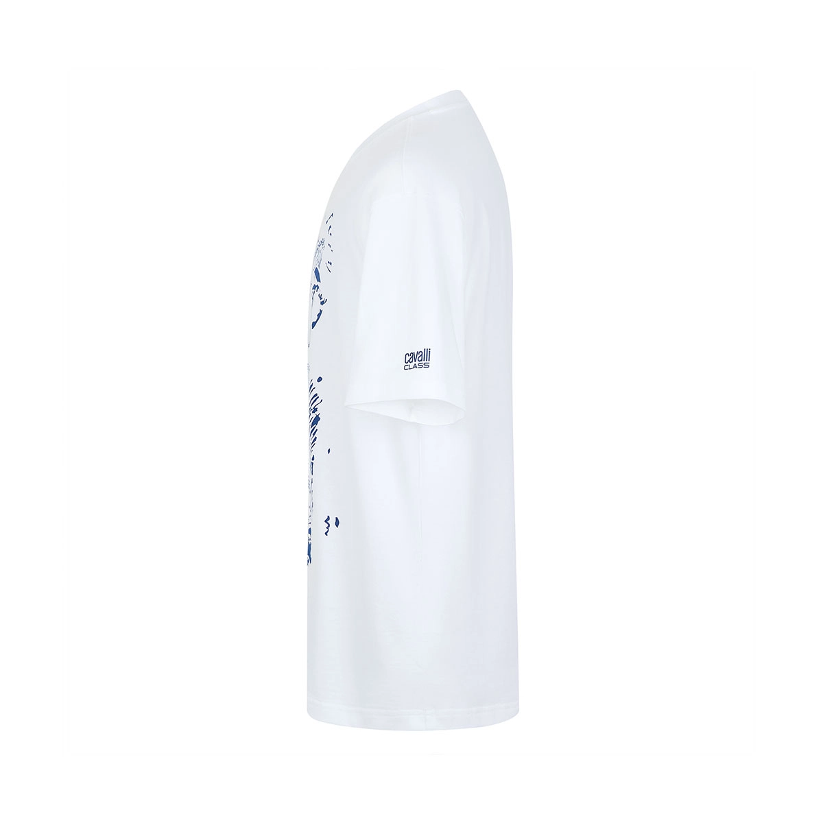Cavalli Class T